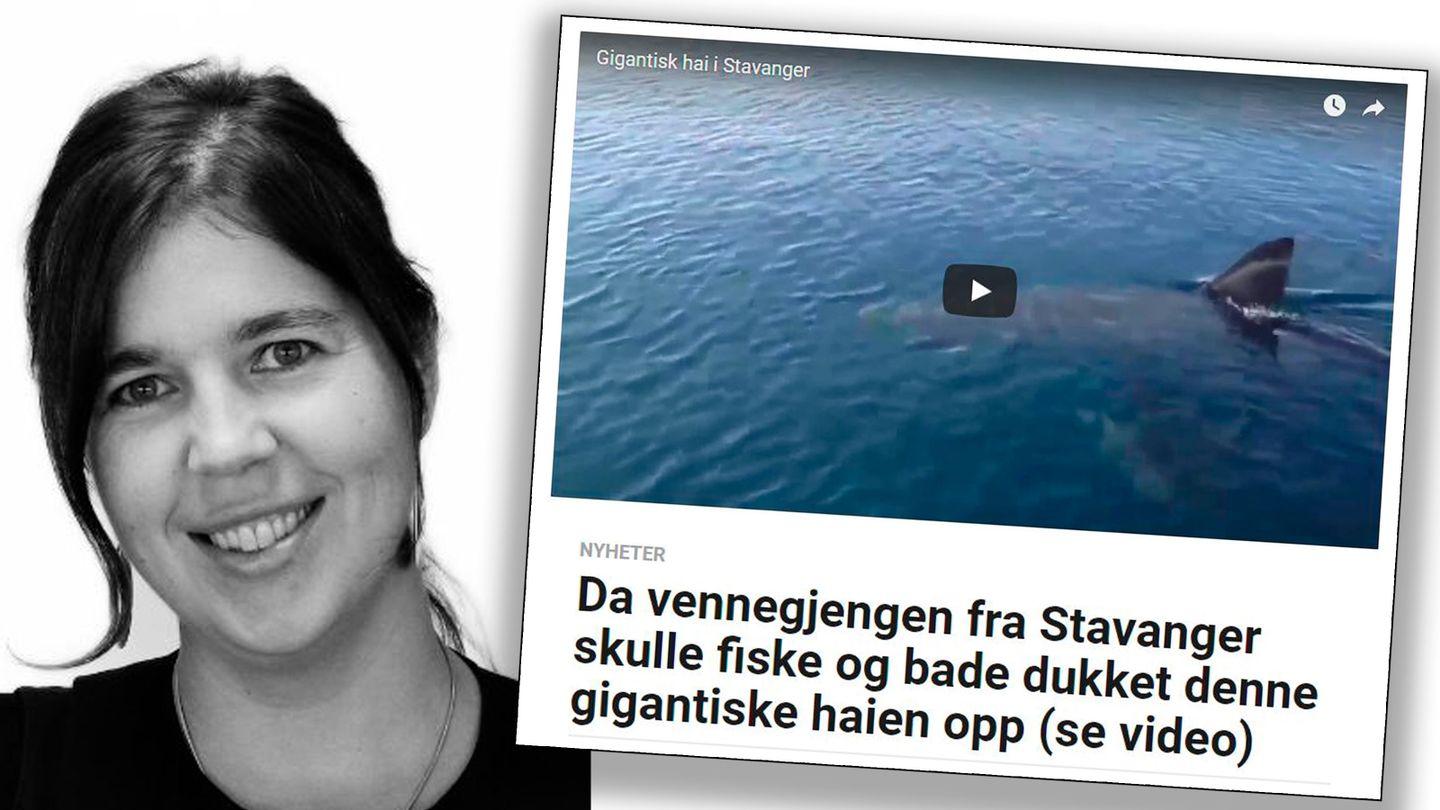  I en falsk artikkel sto det at en hvithai hadde vært på Stavanger-besøk. Problemet er bare at haien aldri er observert i Norge, sa forsker ved Havforskningsinstituttet Claudia Junge.  