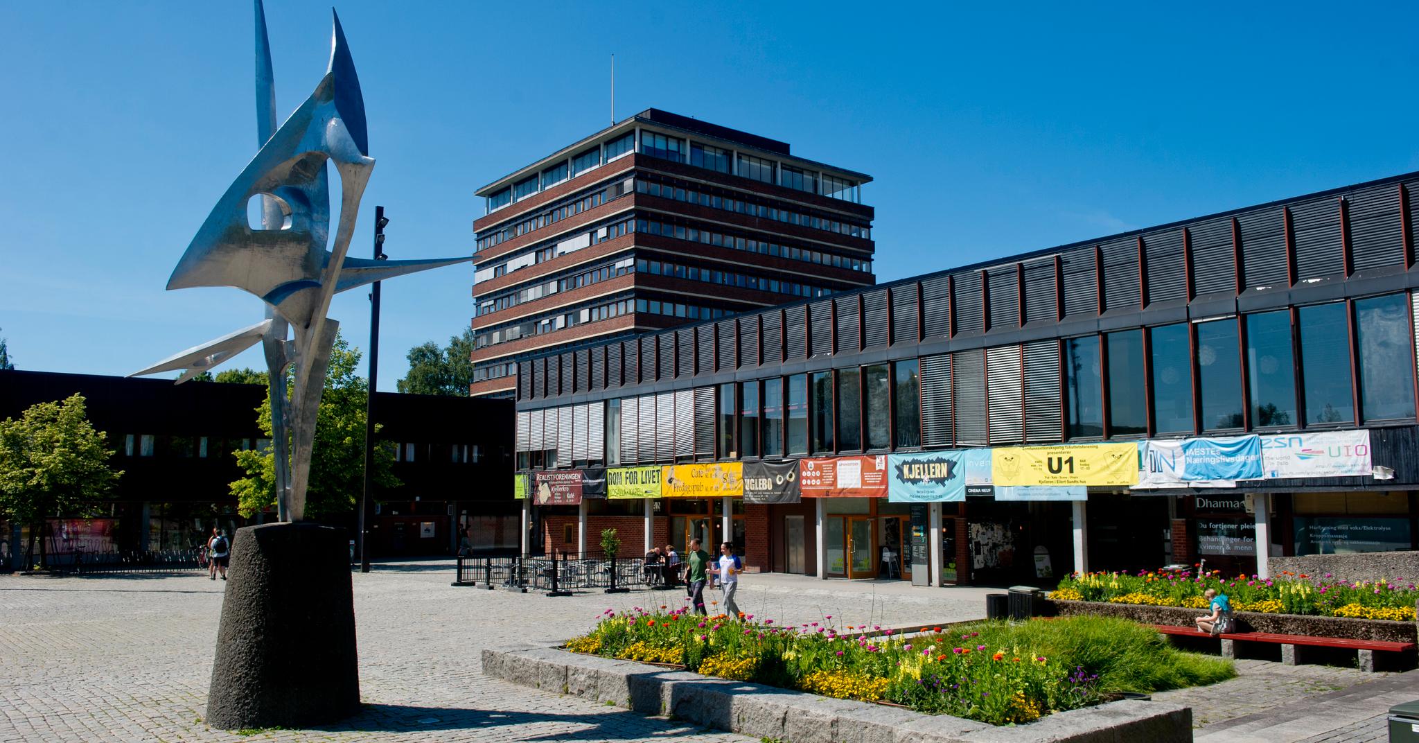 Universitetet i Oslo er landets største og har over 27.000 studenter.