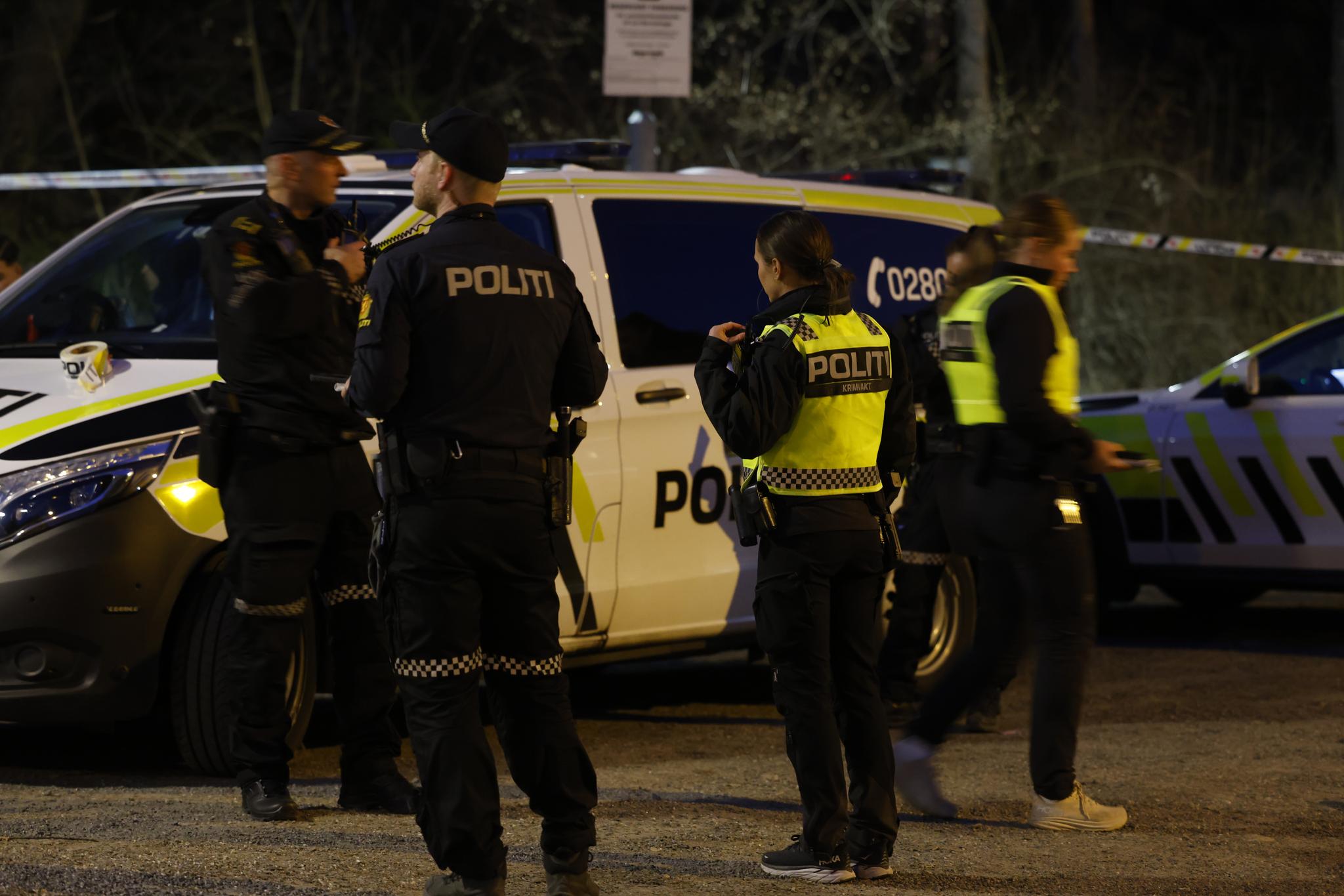Flere politipatruljer utfører søk og undersøkelser etter skyting på Holmlia mandag kveld. 