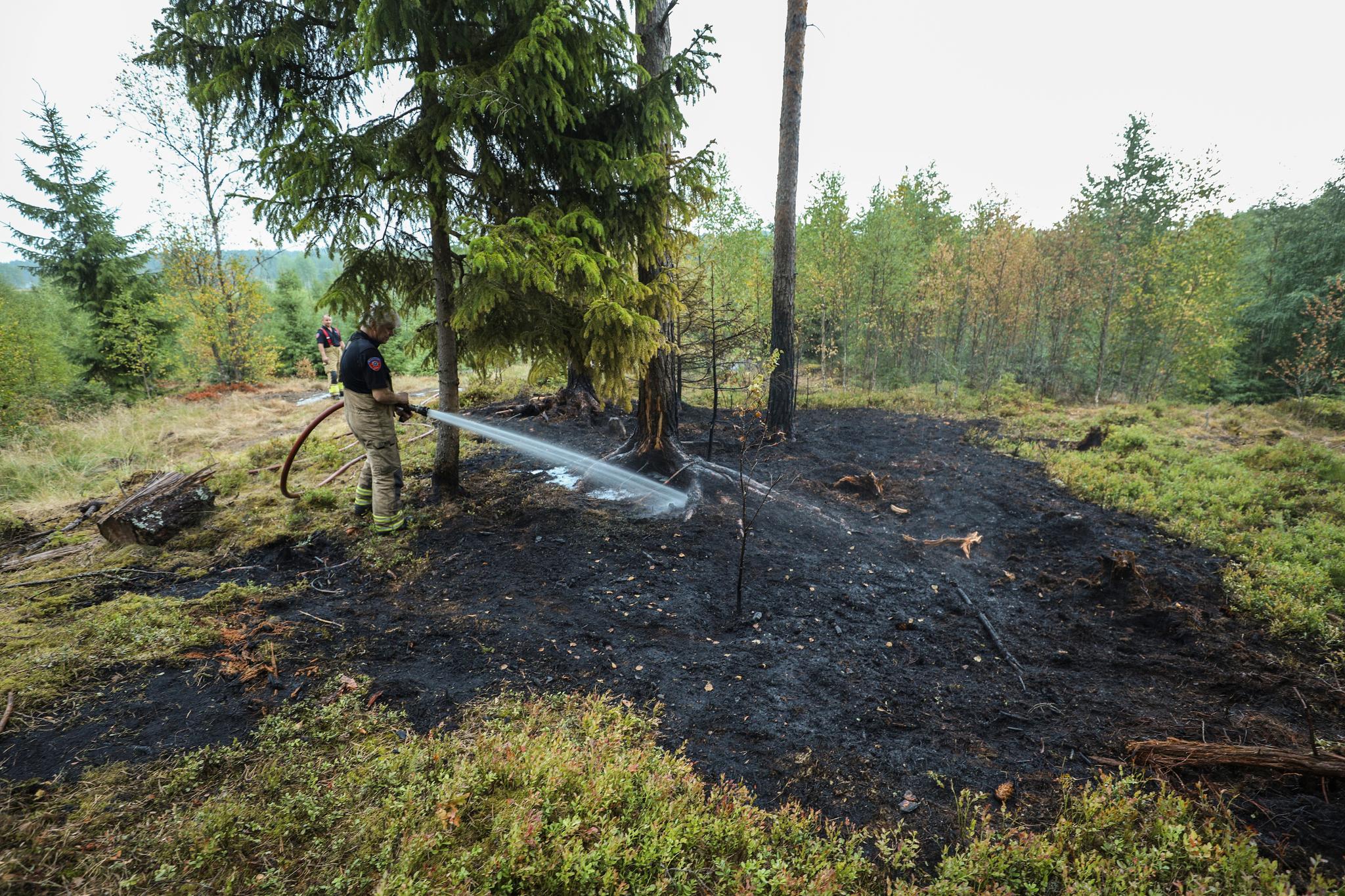 Mange skogbranner i Sør-Norge etter lynnedslag, de fleste er mindre. Denne brannen ved Bjørnstadveien i Ås brukte brannmannskapene ikke lang tid på å slukke. Denne brannen startet da lynet slo ned i treet midt på bildet. 