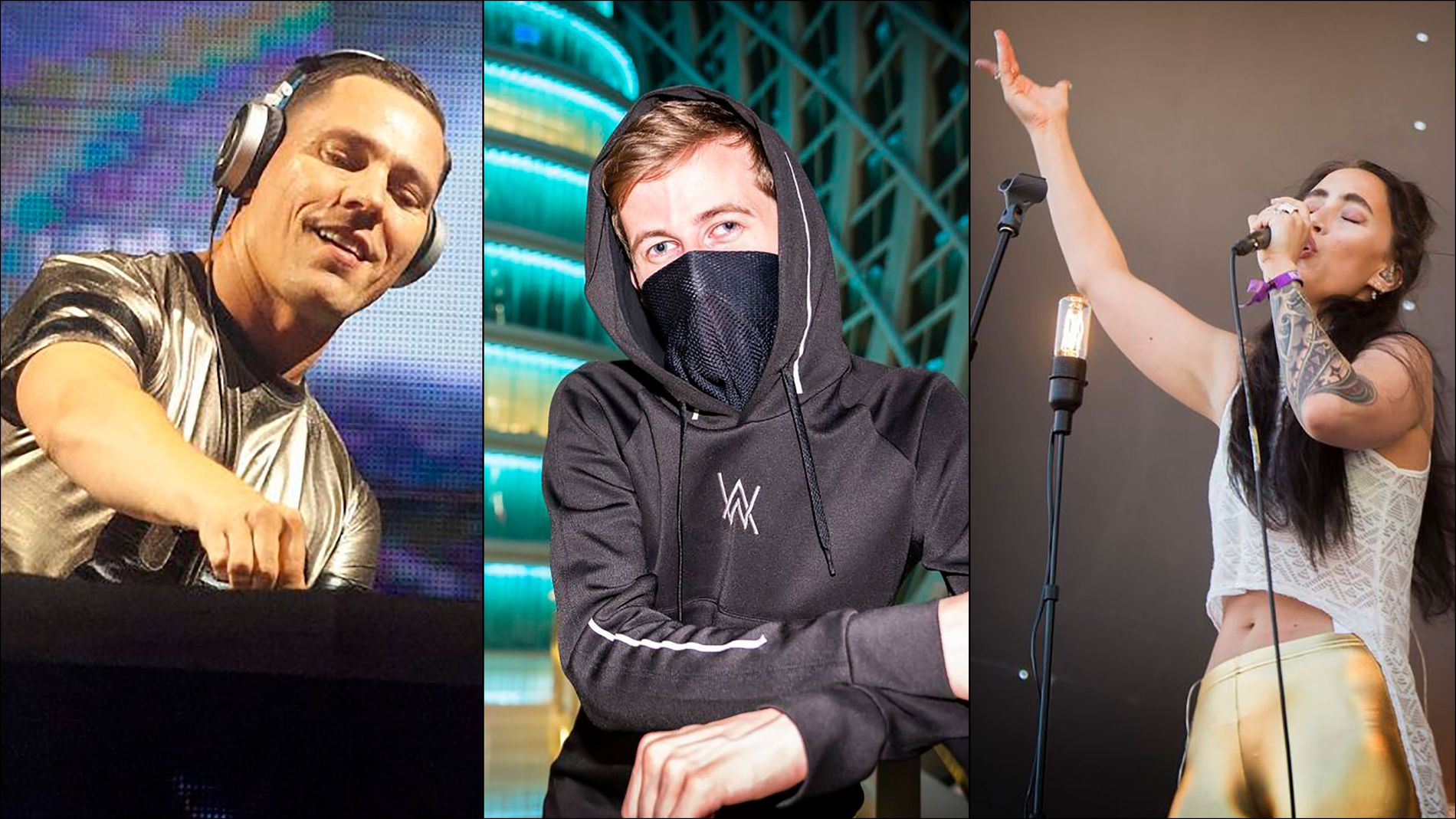 Tiësto, Alan Walker og Highasakite har alle blitt bekreftet til Palmesus denne uka. 