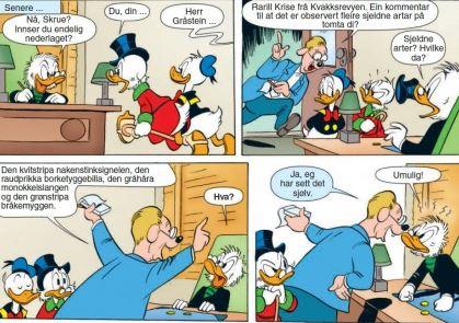 INSPIRASJON: Karakteren Rarill Krise frå denne stripa i fjor førte til kampanjen for eit heilt blad på nynorsk. 