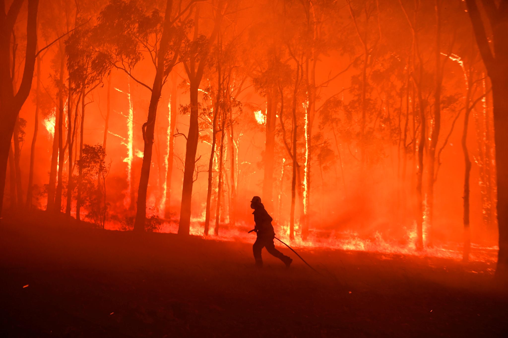 DRAMATISK: Skogbrannene i Australia settes i sammenheng med tørke og hete forårsaket av menneskelige utslipp. Slikt tror ikke Amundsen på.