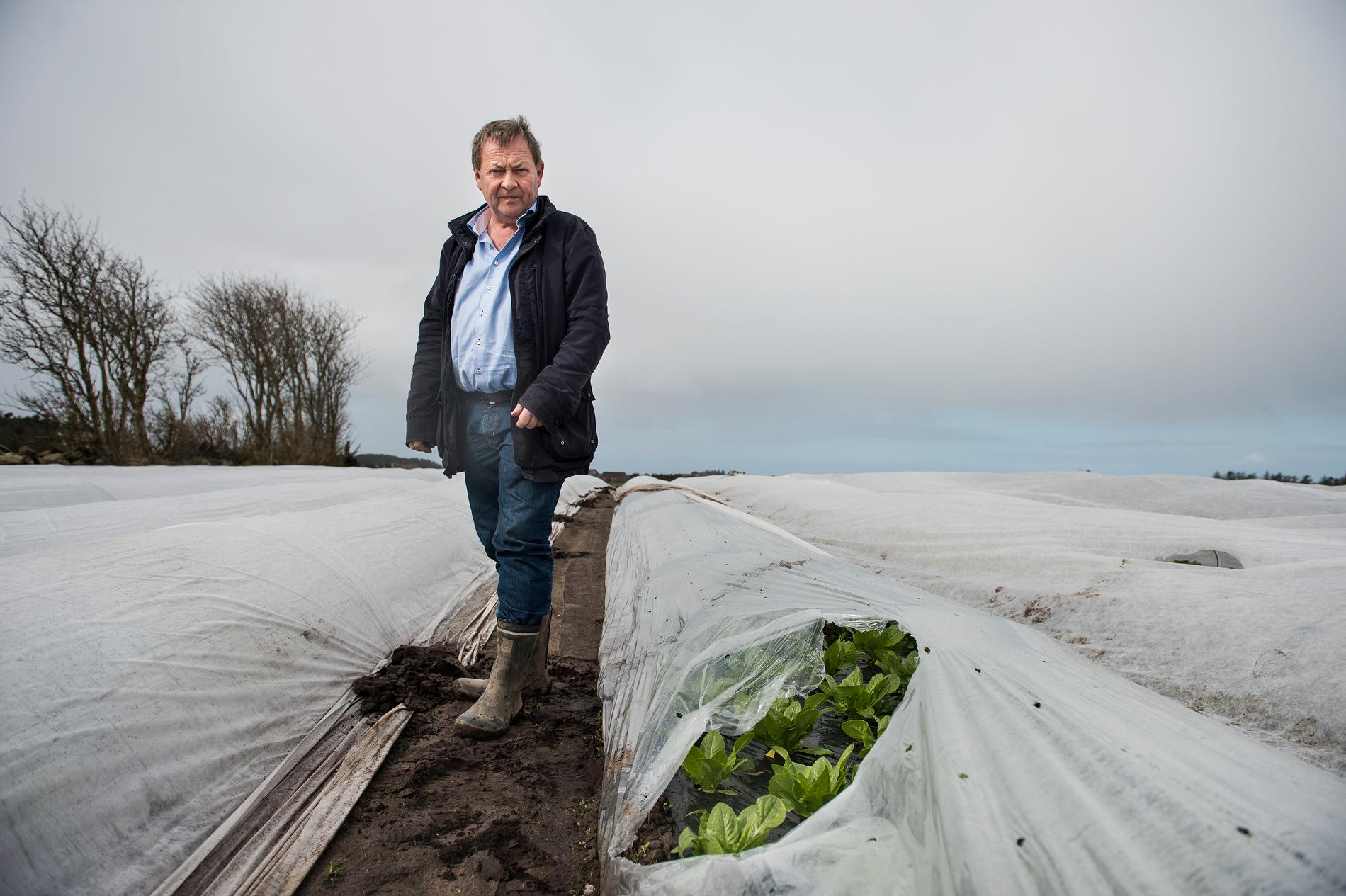 Salatbonde fra Randa­berg dumpet Flyr-aksjer før kursras: – Ser i dag at det var riktig