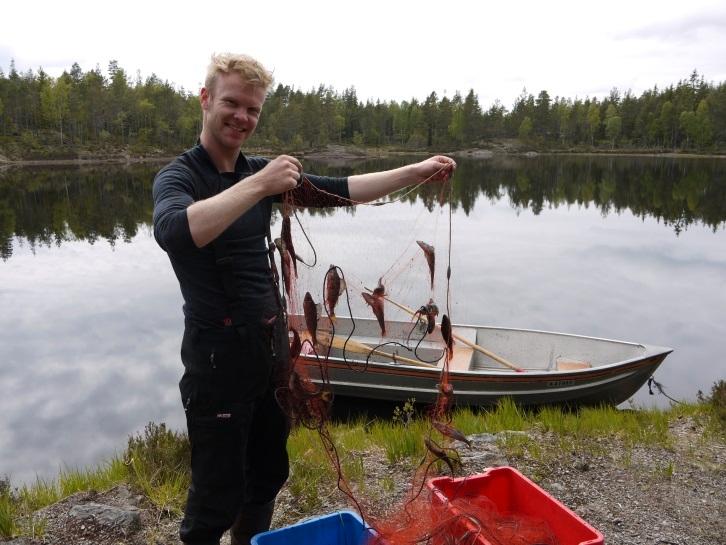 NIVA-forsker Hans Fredrik Veiteberg Braaten har blant annet studert fiskens føde for å forklare gladnyheten om at kvikksølv i skandinavisk ferskvannsfisk er betydelig redusert de siste tiårene.  
