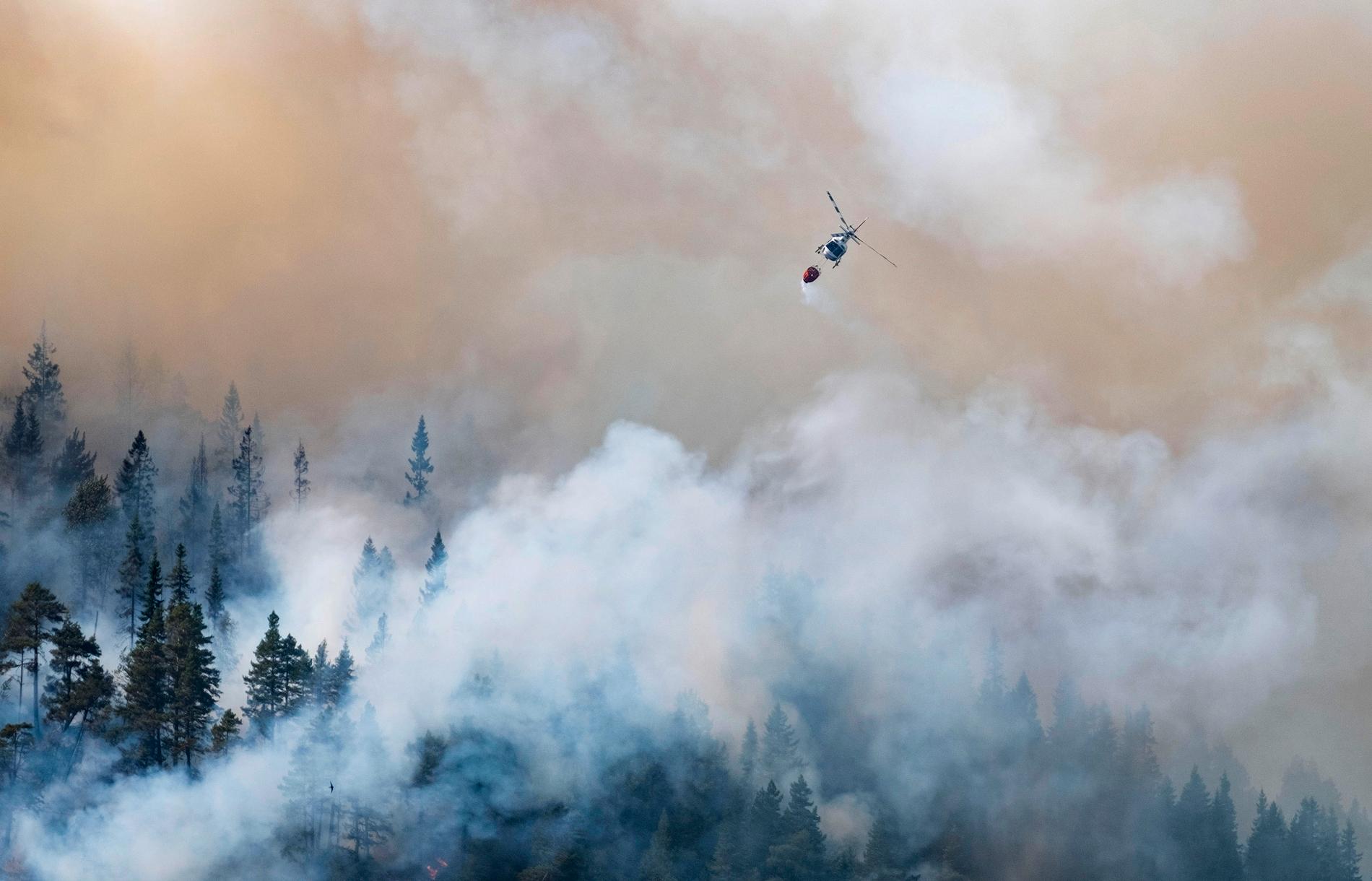 Et helikopter slukker en av de mange skogbrannen som holder på i Setesdalen etter gårsdagens tordenvær. Her en fjelltopp som brenner nord for Sordal i Setesdalen. Foto: Tor Erik Schrøder / NTB scanpix