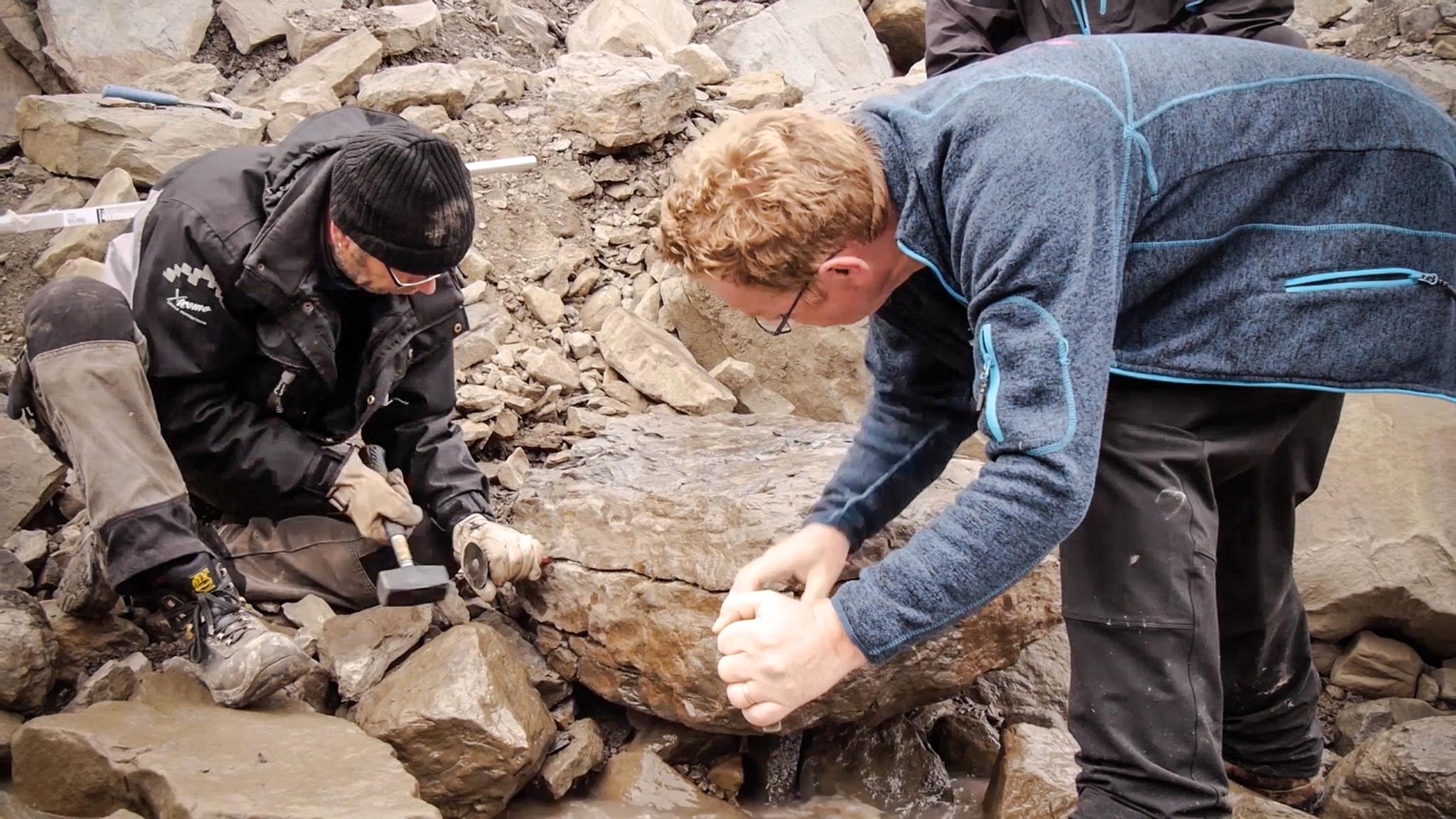 Den tunge steinblokken måtte splittes opp før de kunne få den med til Oslo. I nærheten av det første funnet, fant de enda en stor steinhelle med plantefossiler. 