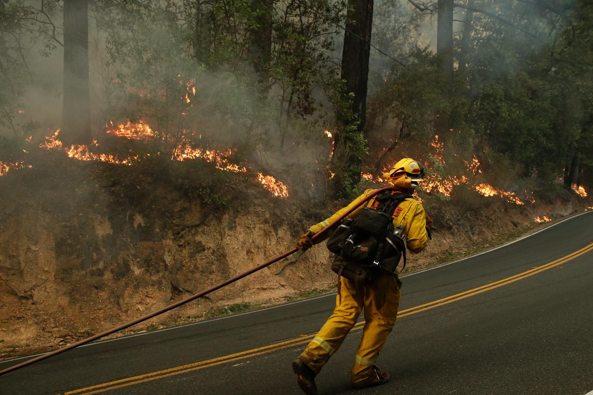 BRANN: En brannmann kjemper mot flammene nær byen Calistoga i California. 31 personer er bekreftet omkommet i de voldsomme skogbrannene. 