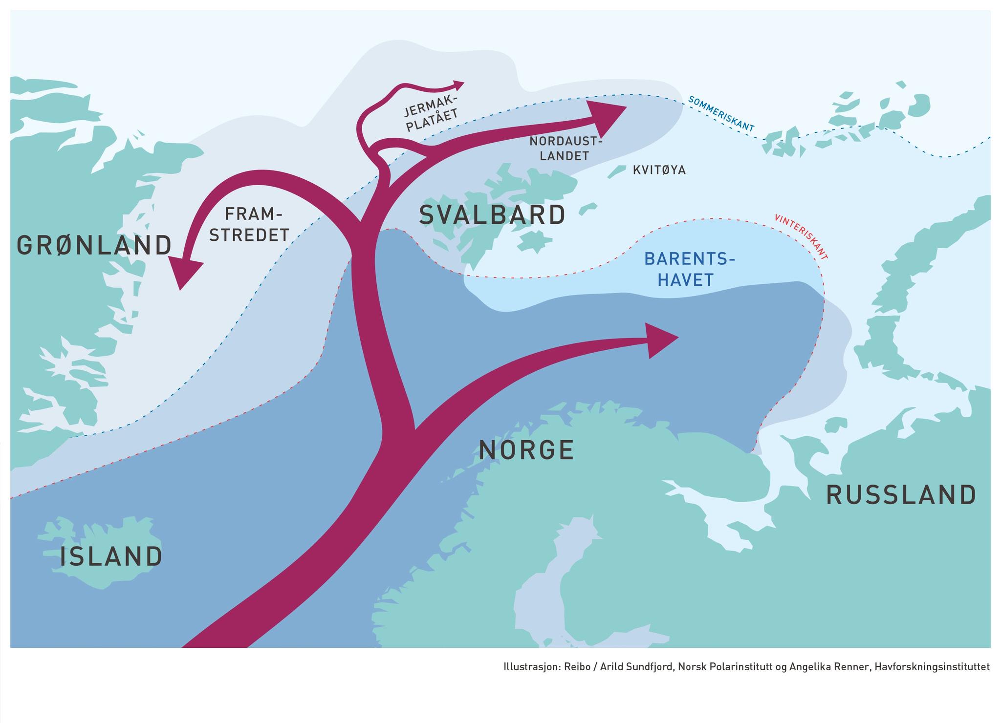  Varmt vann som strømmer nordover fra Atlanterhavet deler seg opp i flere greiner. En stor del følger bunntopografien nord for Svalbard mot øst og fortsetter inn i Polhavet. 