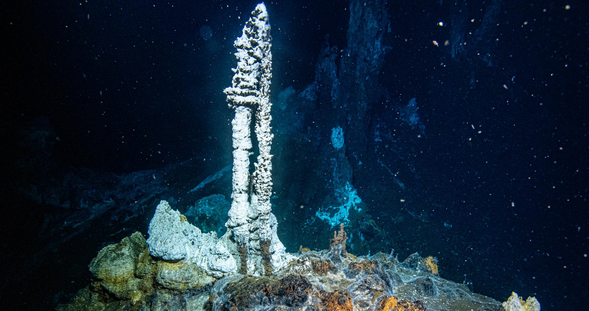 - We need as much knowledge as possible about minerals on the seabed thumbnail