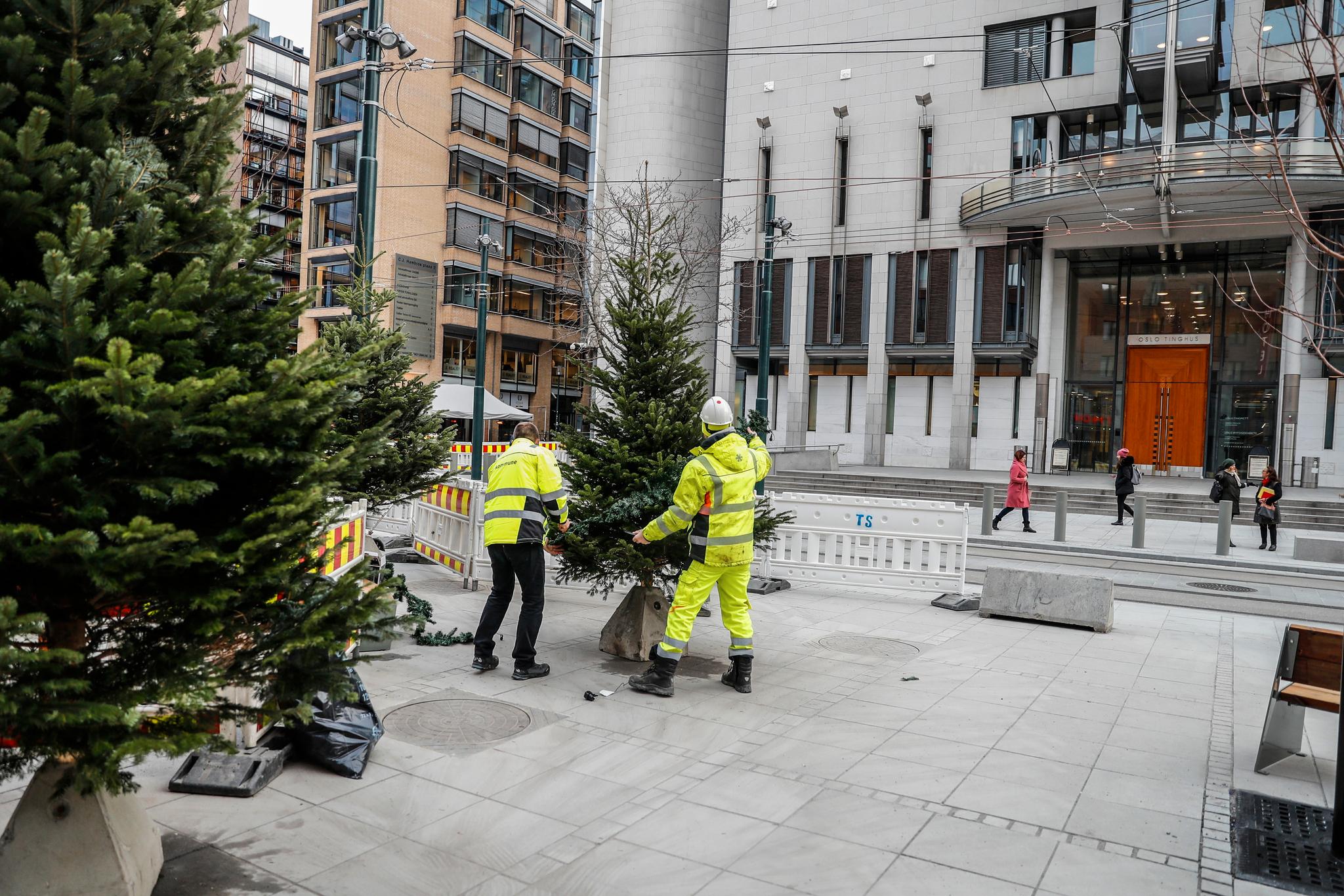 Torsdag formiddag var det ikke bare anleggsinnspurt foran Tinghuset i Oslo: Bymiljøetaten gjorde klar juletrær, med særlig tanke på åpningsfesten fredag. 