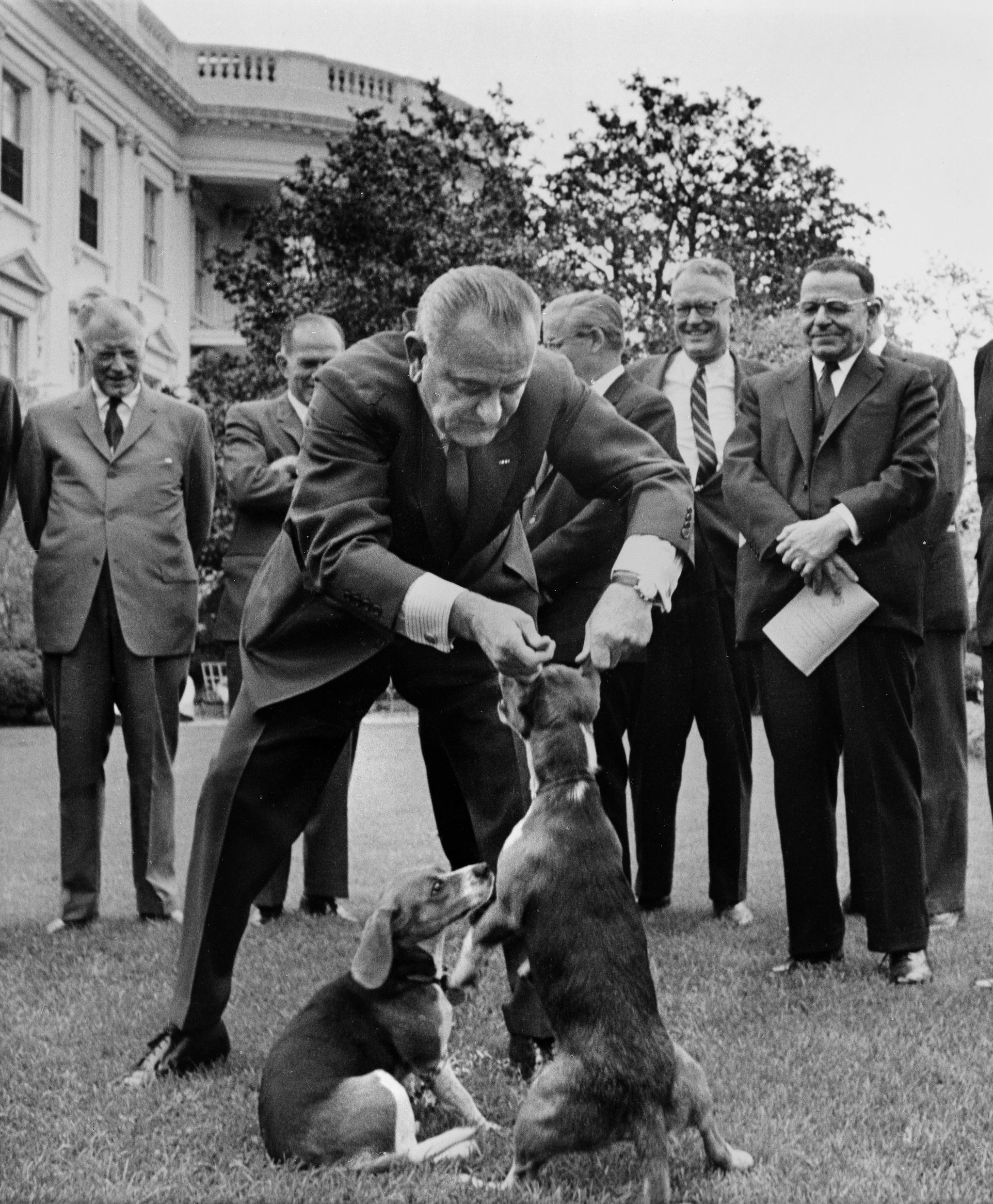 Lyndon Johnson tar tak i hunden Her, mens Him og medarbeidere ser på.