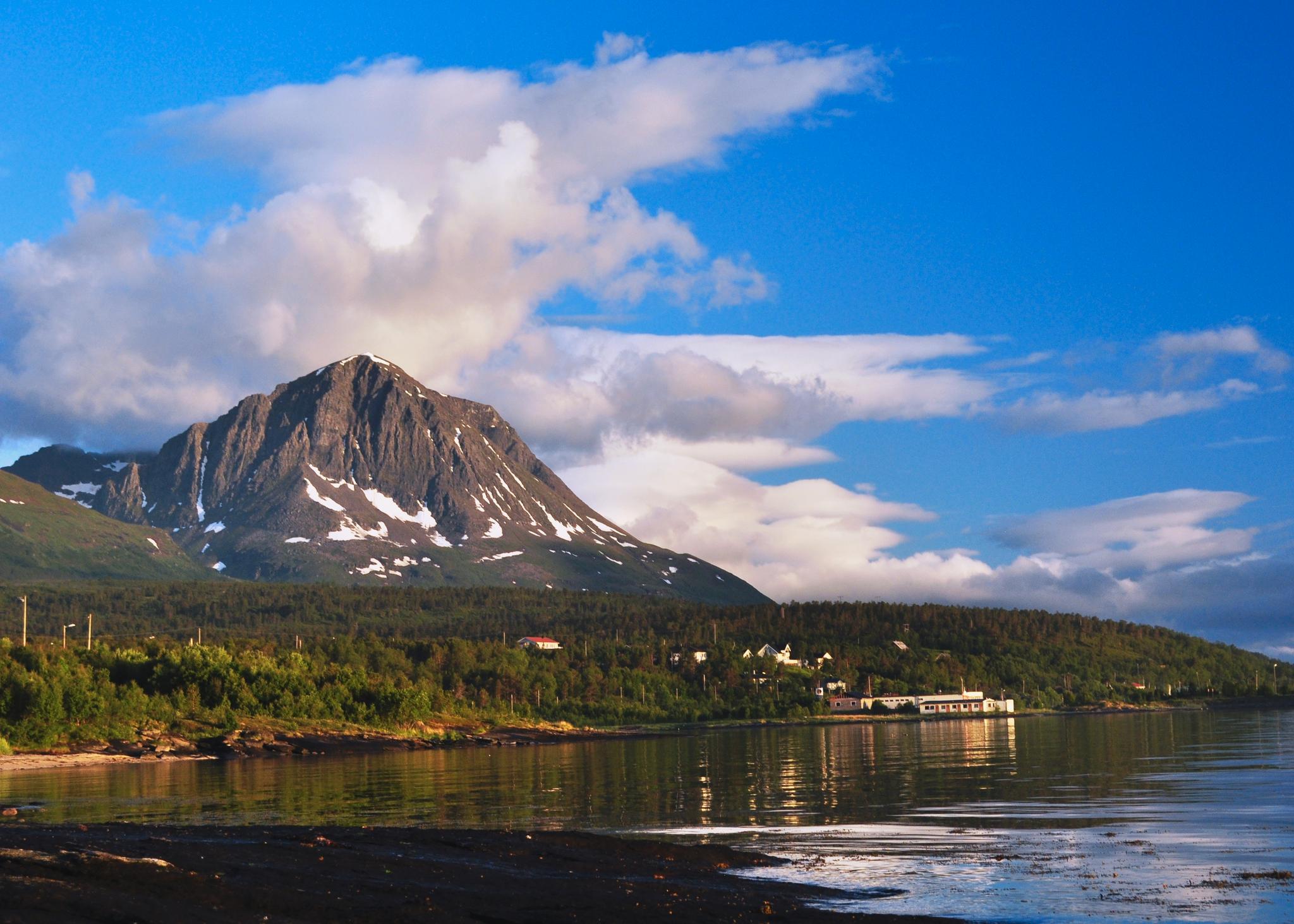   Bentsjordstinden er et av fjellene som er undersøkt. Det ligger i Troms. Her har antall arter på toppen økt fra 7 i 1890 til 31 i 2010. 