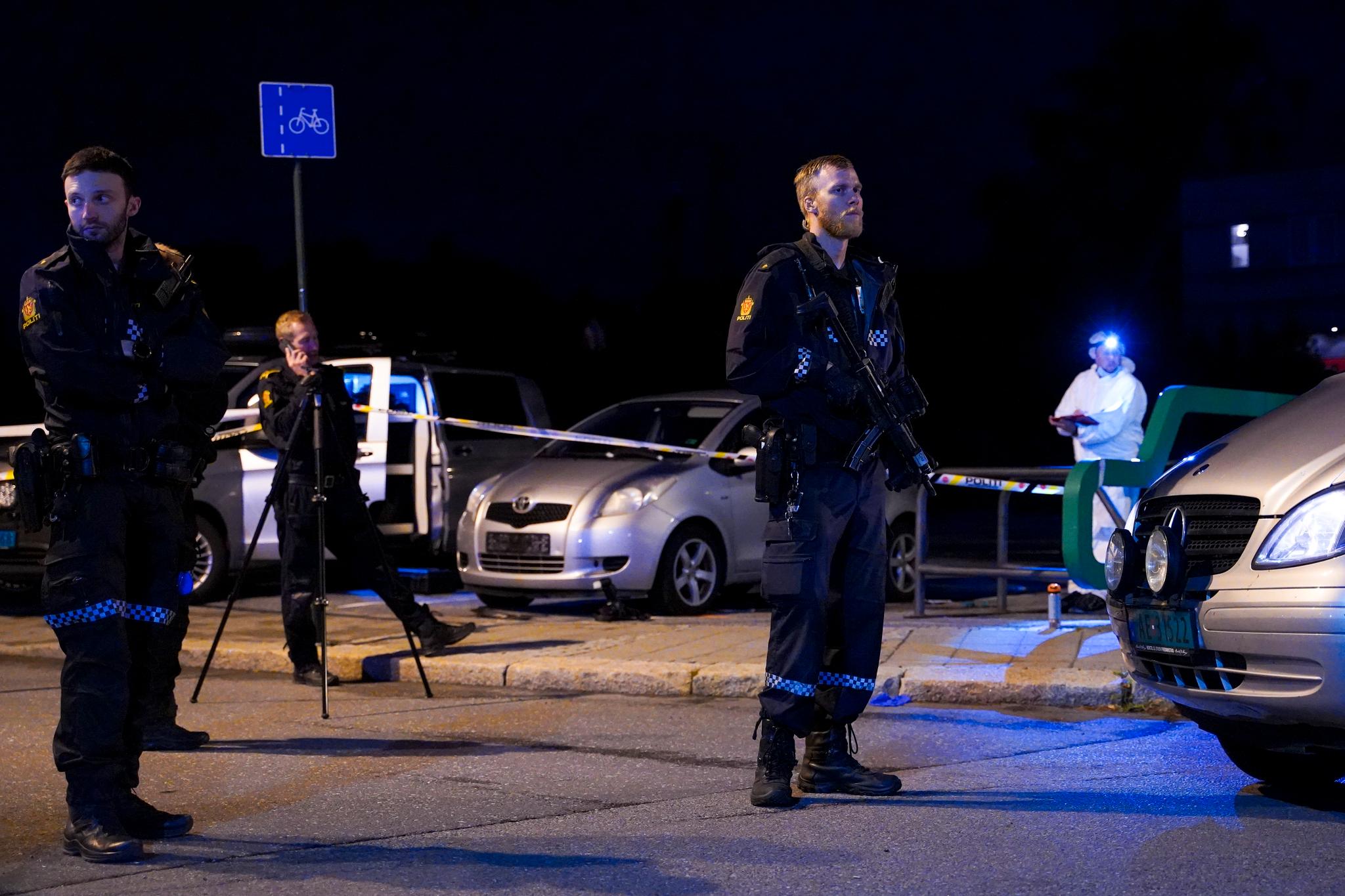 En kvinne ble drept og to andre kvinner ble skadd da en mann knivstakk dem i Sarpsborg 14. juli i fjor. Nå er mannen dømt til tvungent psykisk helsevern. 