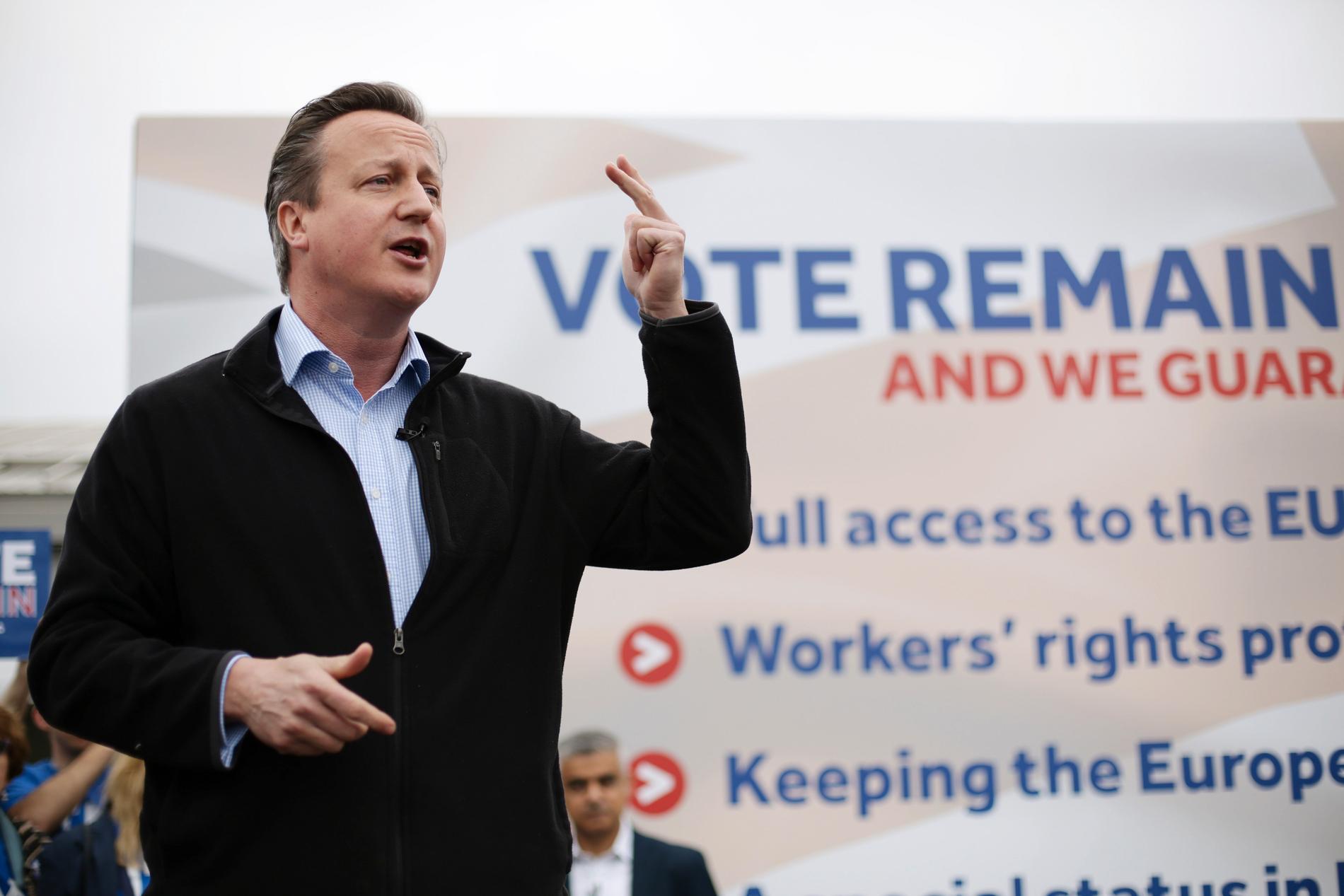 JA-SIDEN: Økonomi har vært gjengangeren for statsminister David Cameron når han skal forsvare britenes EU-medlemskap.