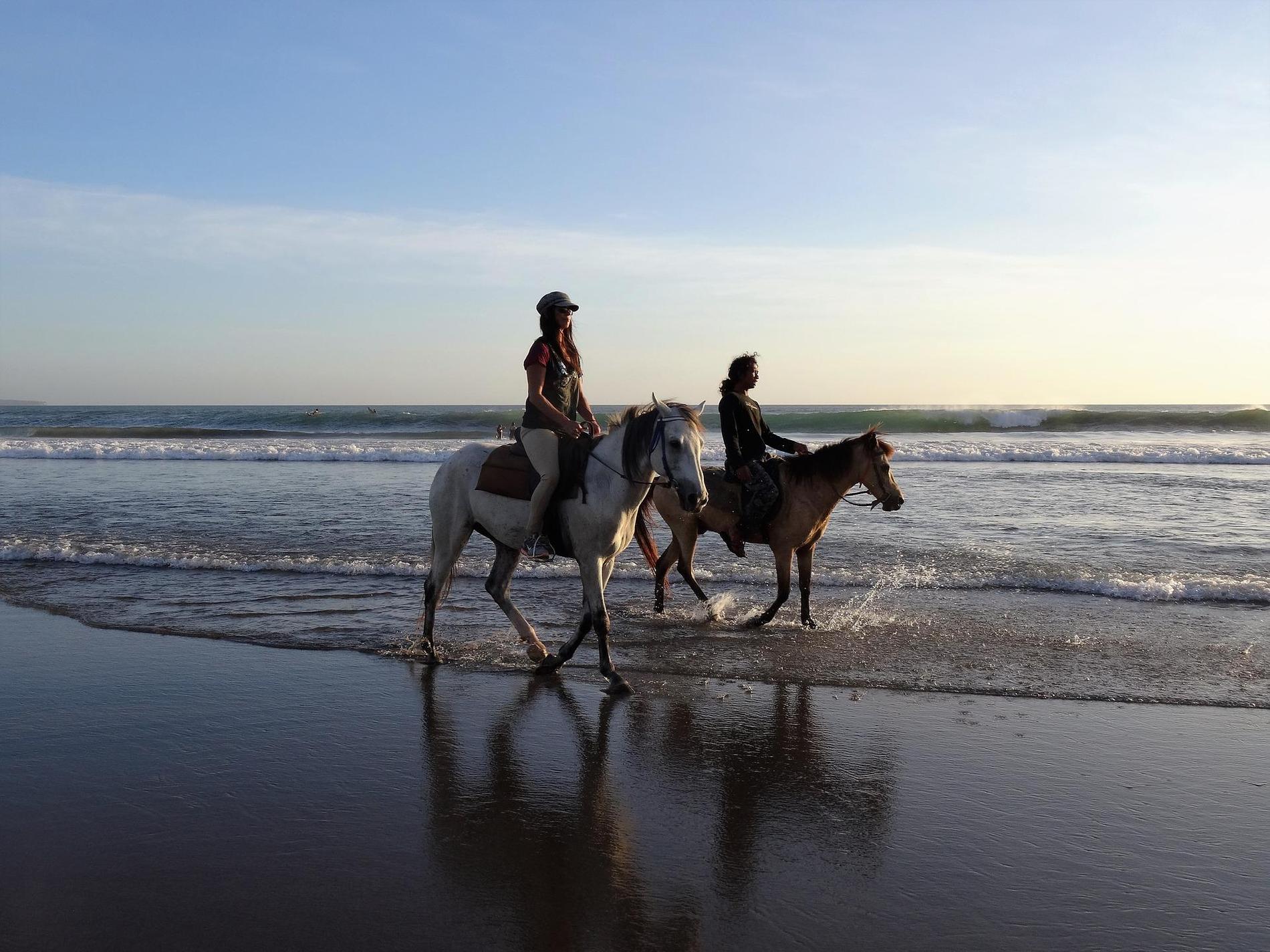 En innbygger har skrevet mail til kommunen og stil spørsmål om bruk av hest på strand. 