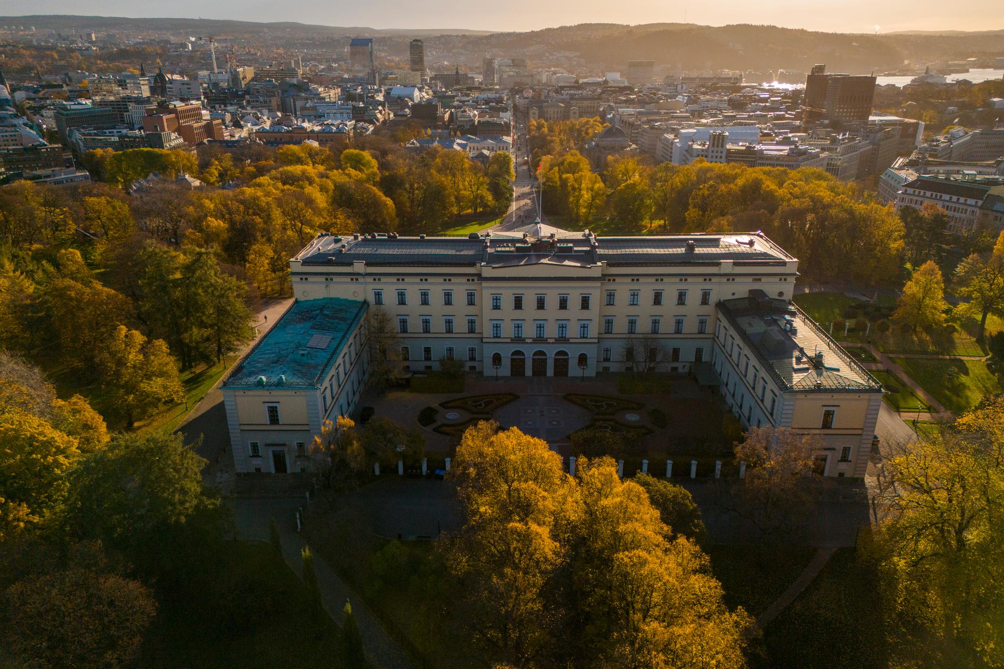 Dronepilot forsøkte å løpe fra politiet i Slottsparken