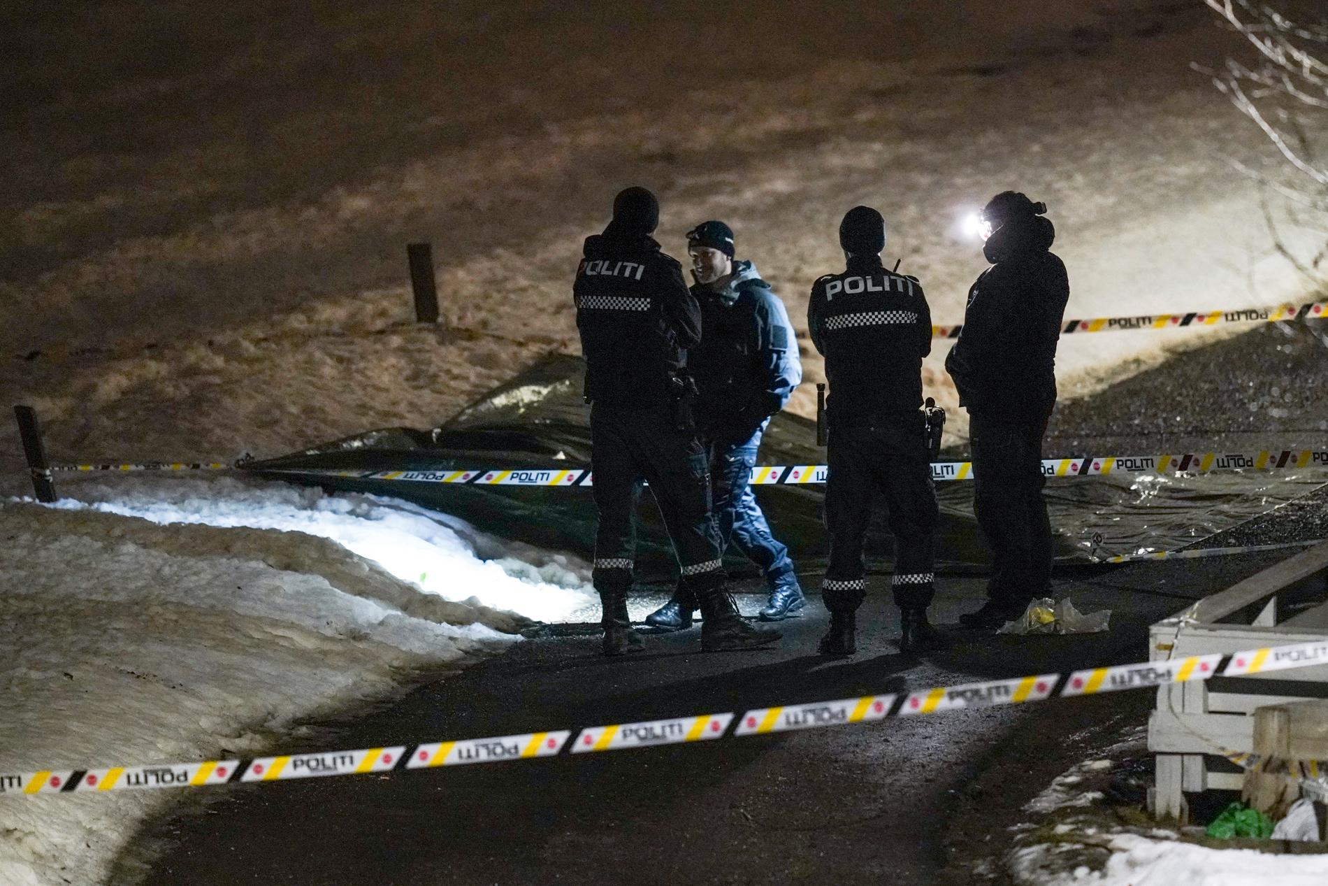 En mann med øks ble skutt og kritisk skadd da han gikk til angrep på politifolk under en pågripelse på Skjetten utenfor Lillestrøm i Akershus.
Foto: Fredrik Hagen / NTB scanpix