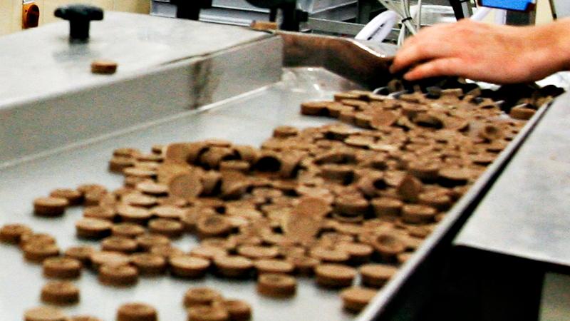Freias ukjente Oslo-suksess: Særlig én ting skiller norsk og svensk sjokolade