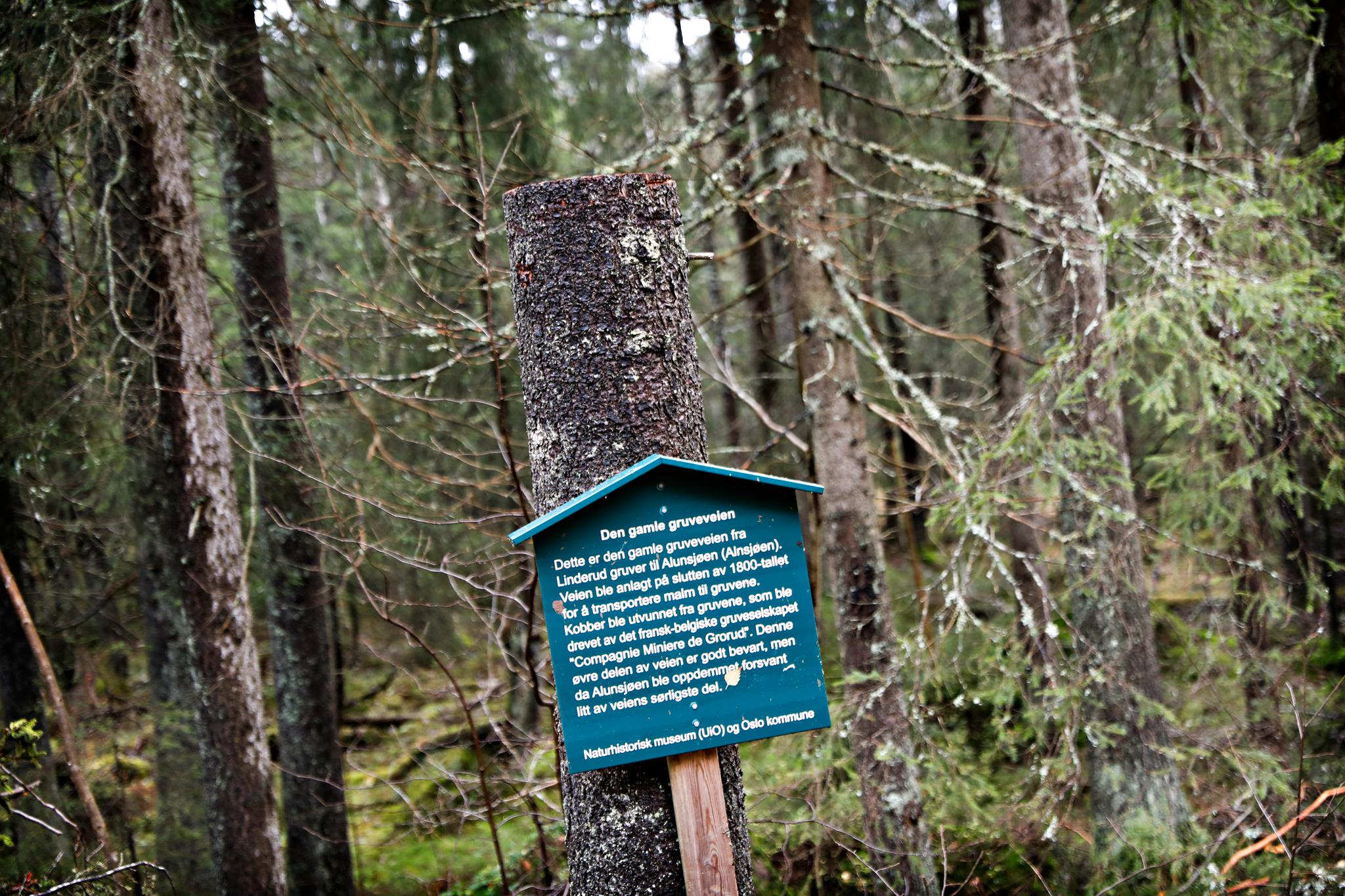 Selv treet med skiltet med informasjon om Gamle gruvei, ble kappet over midtveis.