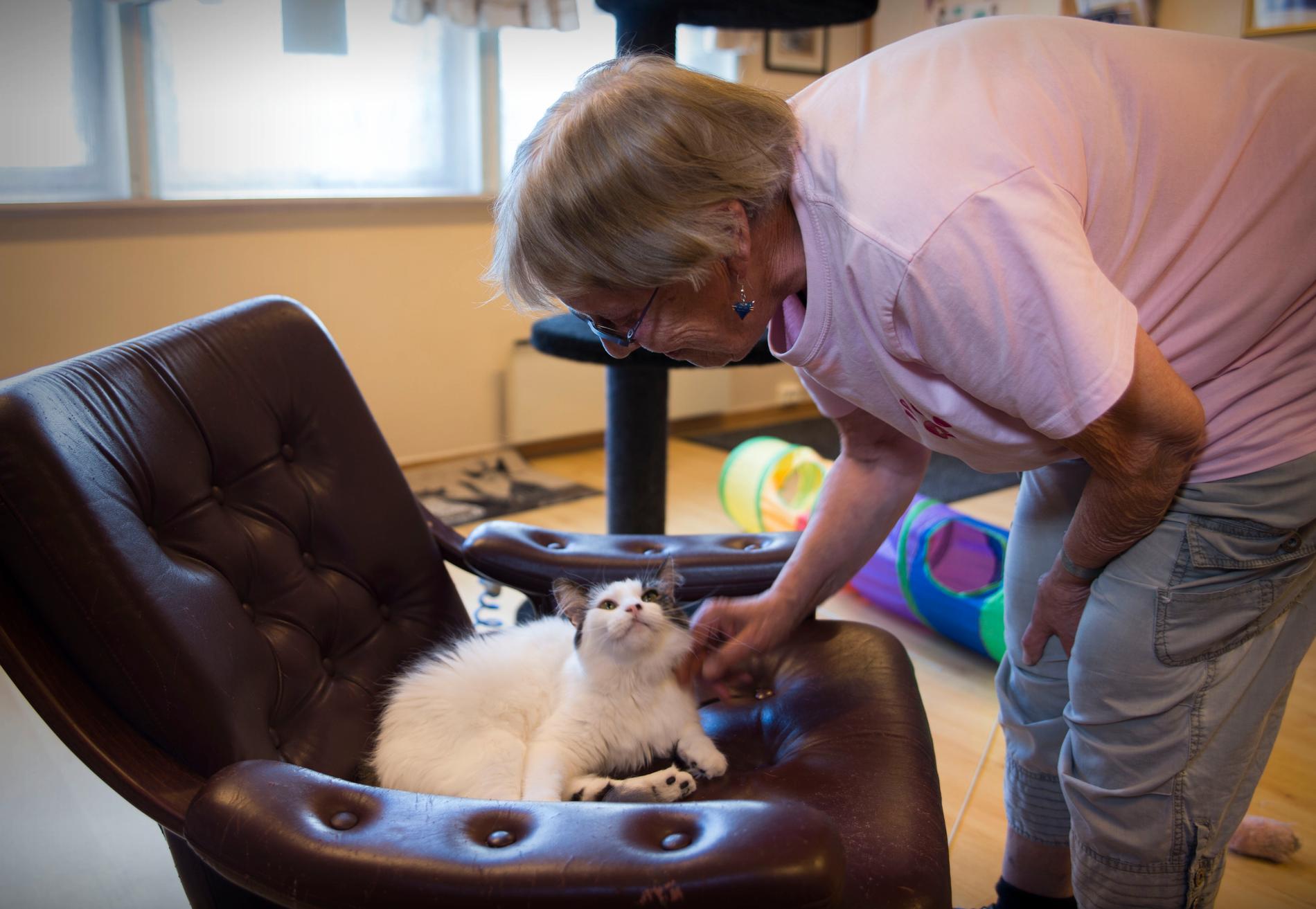 Arnfrid Robstad bruker mye av sin tid på å hjelpe hjemløse katter. Her koser hun med katten Bettan som ble hentet fra en gård med 130 katter. 
