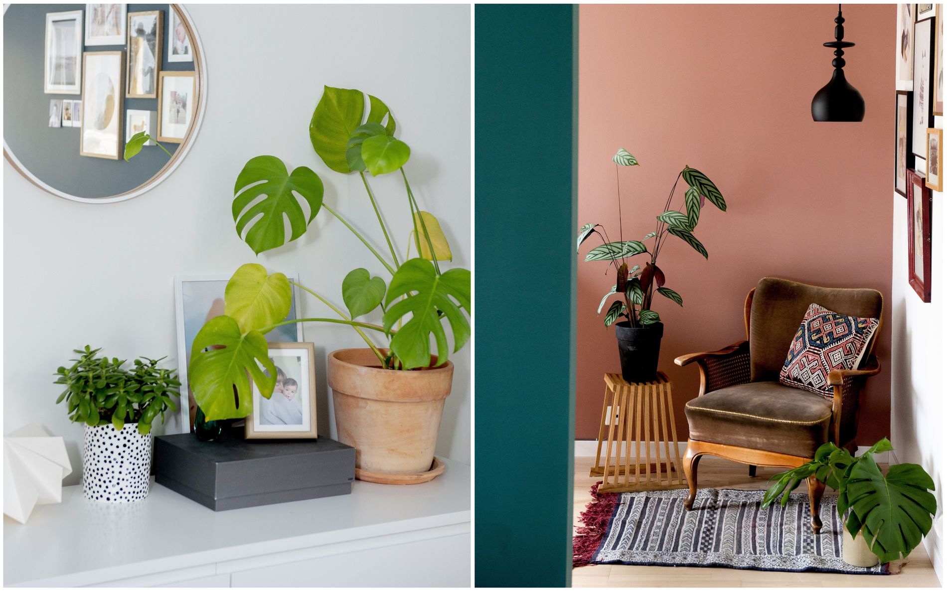 PLANTER OG BRUKTFUNN: Grønne planter får plass rundt om i hele boligen. Stolen på kontoret er et bruktfunn. Krakken har Mats laget selv. 