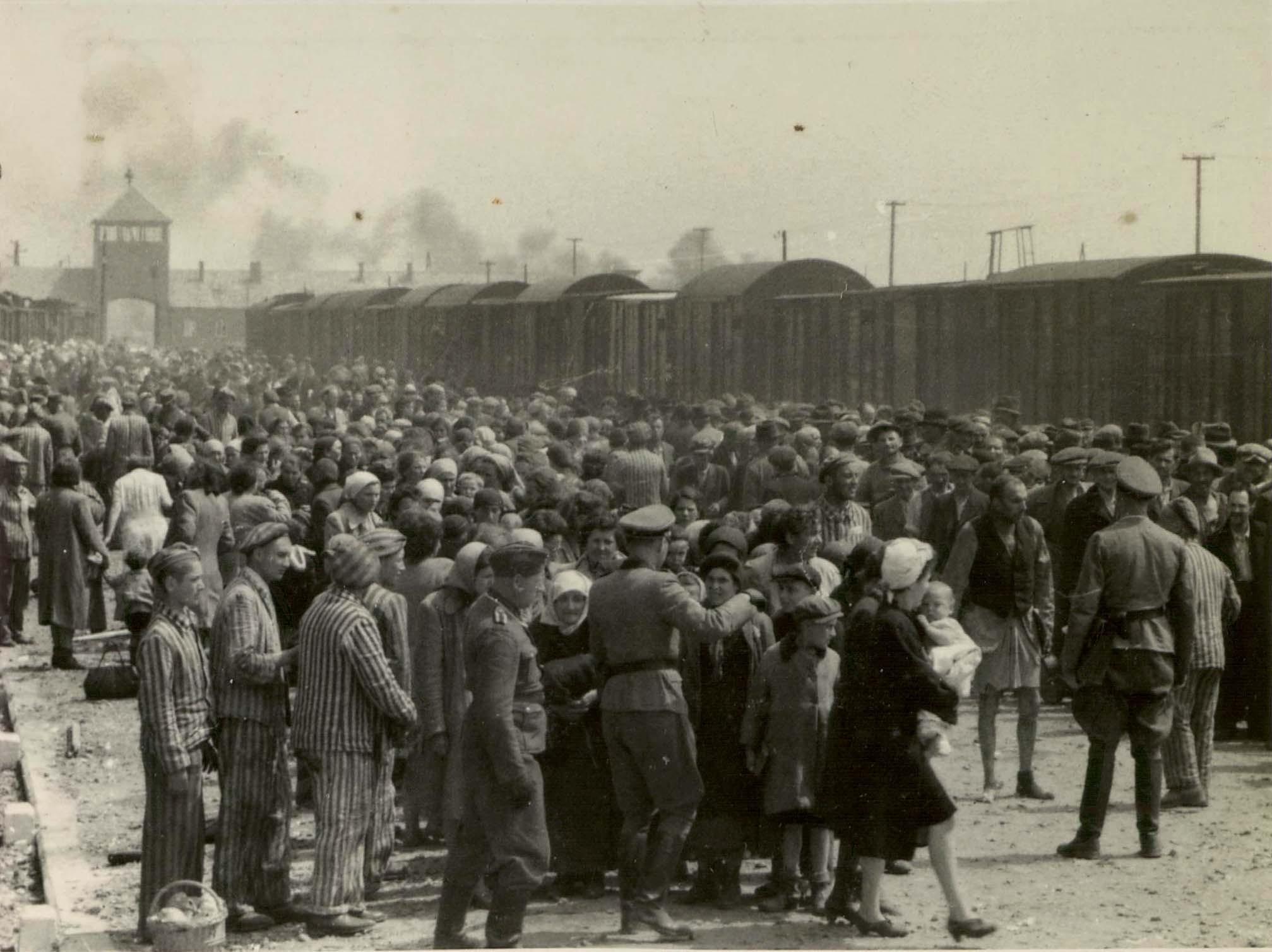 Mange norske jøder møtte tilintetgjørelsen i gasskamrene. Bildet viser en gruppe jøder fra Sentral-Europa ved ankomst  Auschwitz-Birkenau i mai 1944.