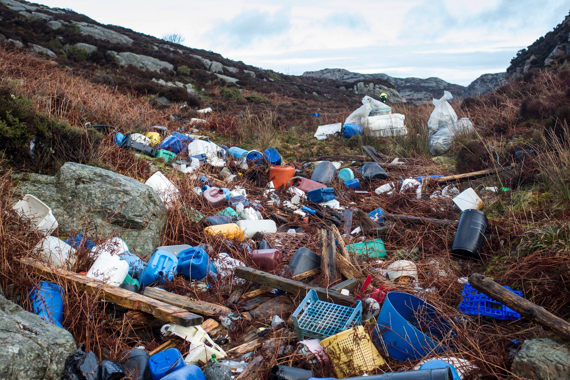 PLASTHAV: Tidligere denne uken tilbragte Norges jeger- og fiskeforbund ettermiddagen sammen med ungdomsskolever i skjærgården på Sotra hvor de plukket plast.