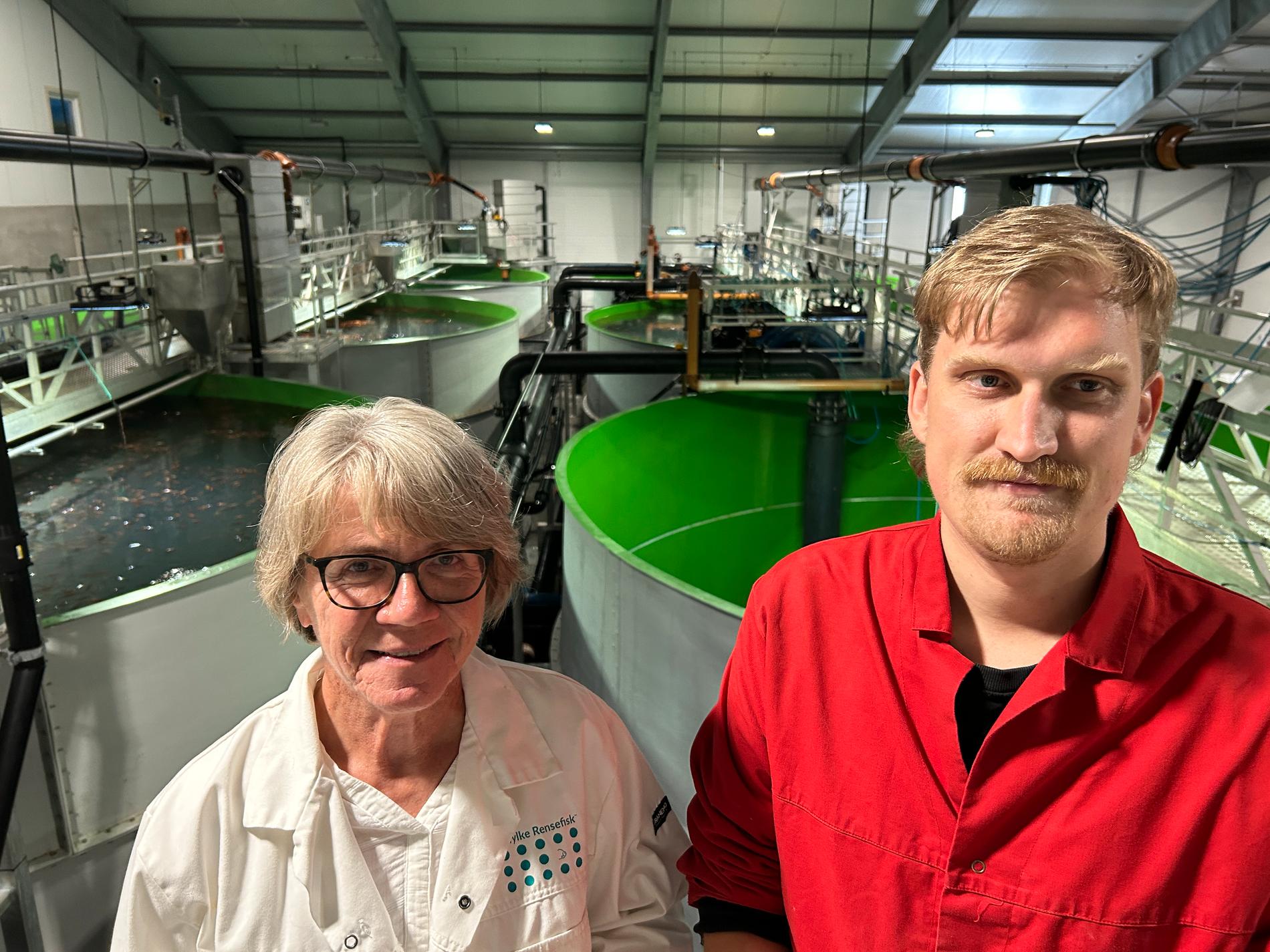 Dagleg leiar Liv Lorentsen og biologiansvarleg Christoffer Moss i Talgje Rensefisk ved kara som i desse dagar produserer leppefisken berggylt for Mowi.