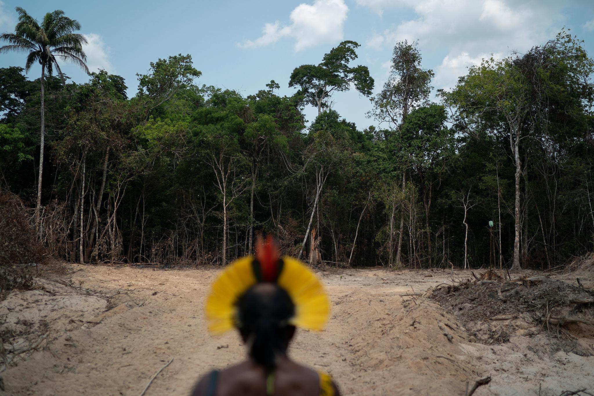 En stammeleder i delstaten Pará i Brasil. Ulovlig avskoging er et alvorlig problem i landet.