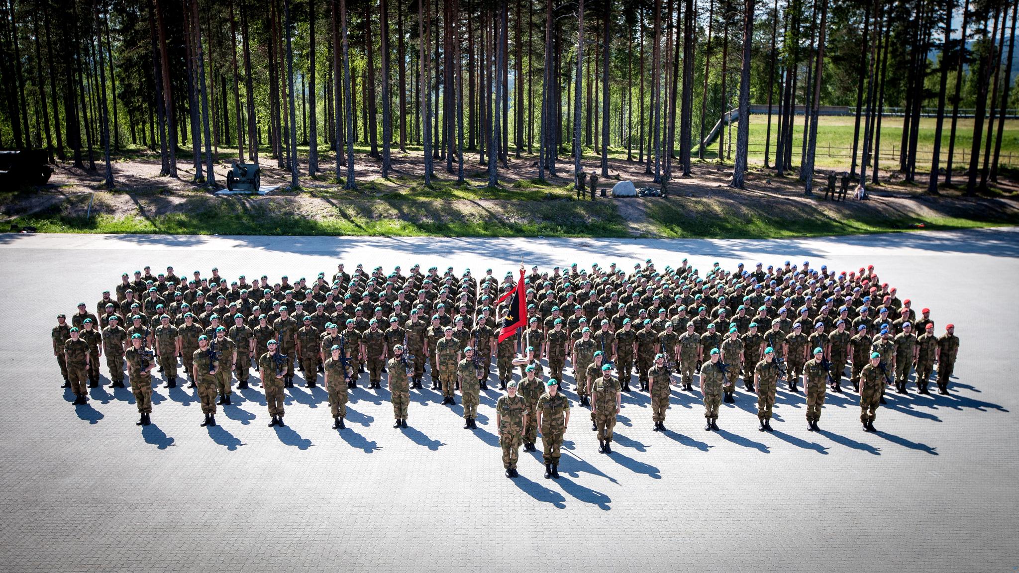  Telemark bataljon på oppstilling 3. juni 2016.