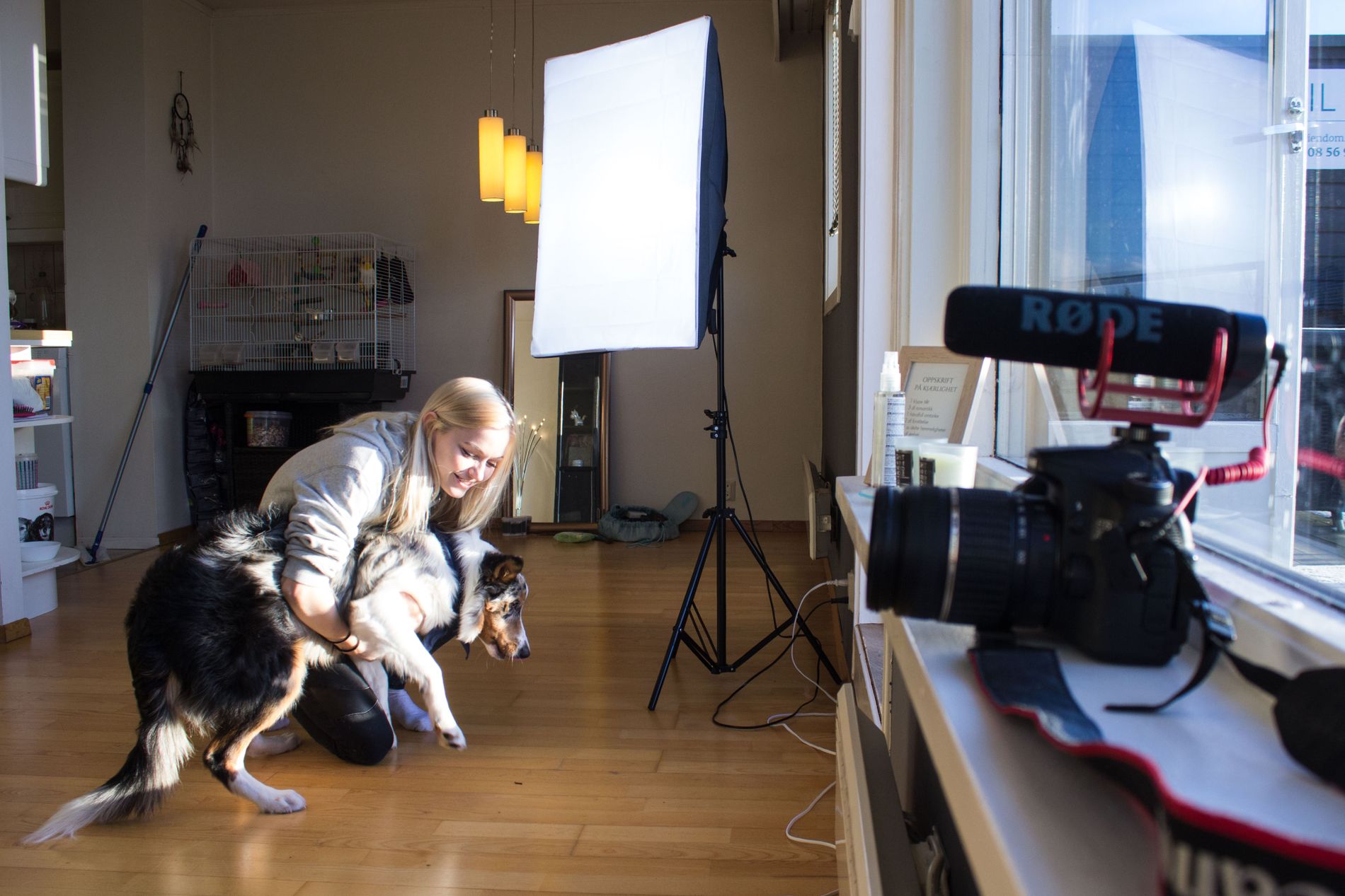 Hunden Fenris er ofte med i videoene som «Victoto» lager hjemme i stua på Austrått. 
