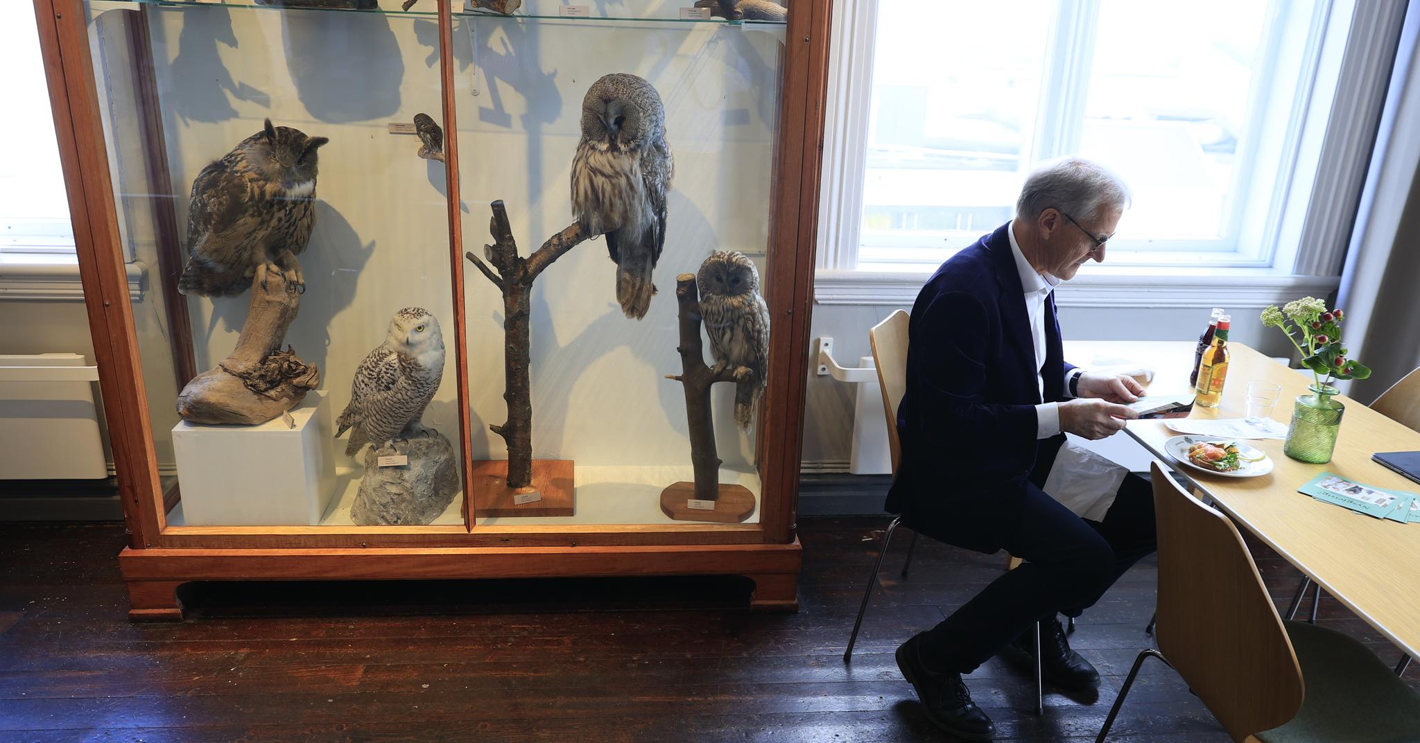 Statsminister og leder for det som tidligere er blitt kalt «ørnen blant partiene», Jonas Gahr Støre, var innom fuglesalen i Stavanger Museum mandag.
