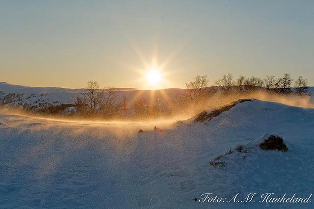 En iskald dag på Arnanipa. Foto: Ann-Mari Haukeland