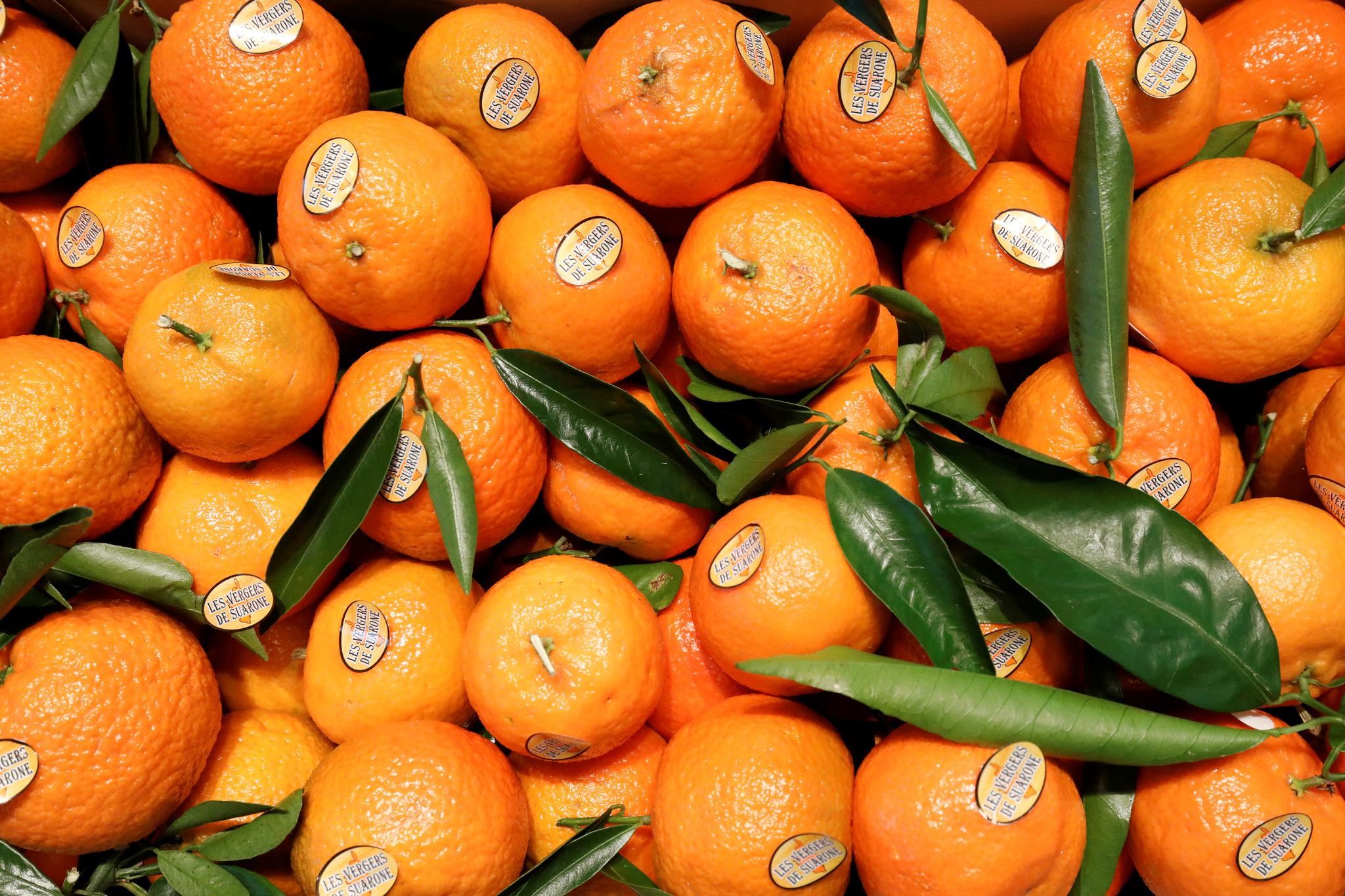 KLEMENTINER: Nordmenn spiser kilovis av den oransje sitrusfrukten i julemåneden.