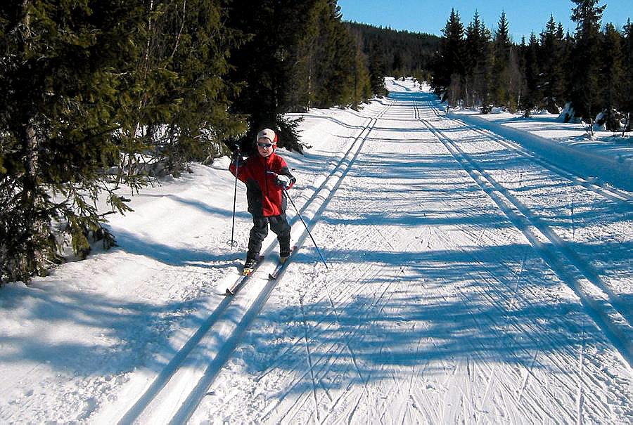 «Vinterferien skal muligens legge til rette for at barna skal ut på ski. Men det klarer de vel uten en uke fri fra skolen?»