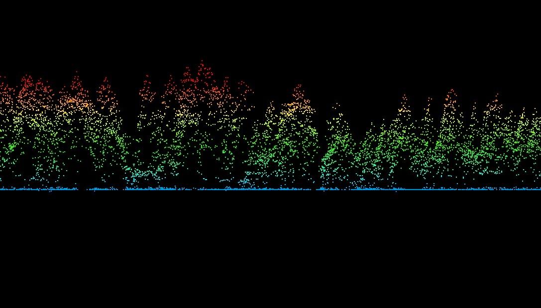 Punktsky hentet fra et laseropptak over gammel naturskog. Vi ser skogen fra siden og fargen sier noe om høyden ekkoene fra lasermålingen viser; rød er høyt og blå er lavt.