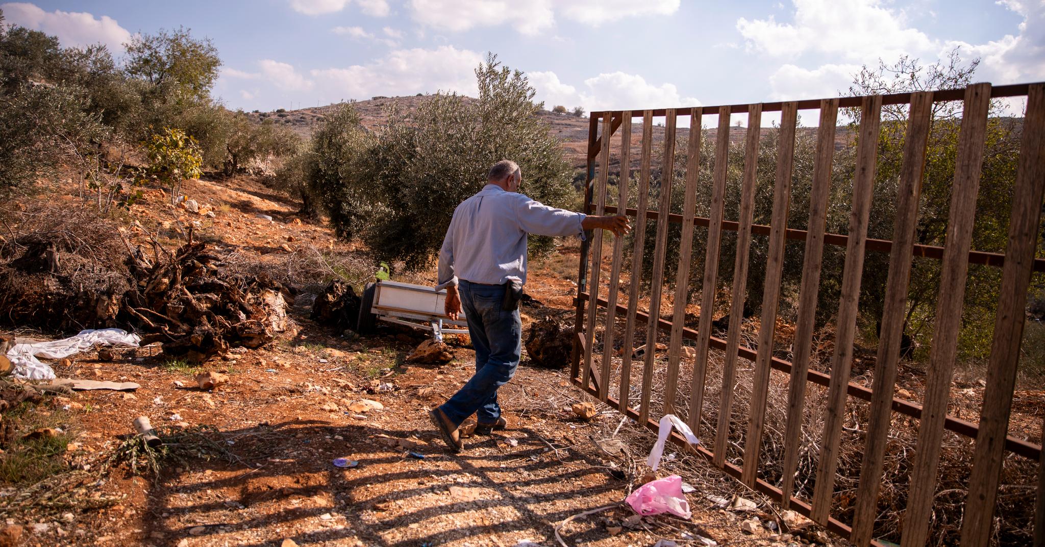 The Grim Situation in the West Bank: A Shadow of War and Israeli Settlements