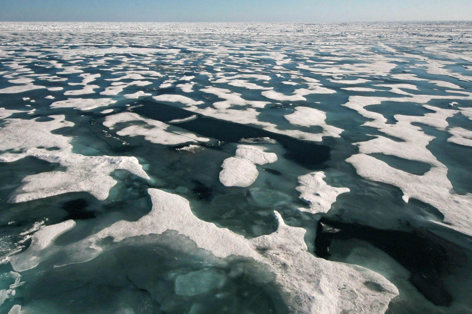 Store mengder smeltedammer på havisen i Arktis denne sommeren.