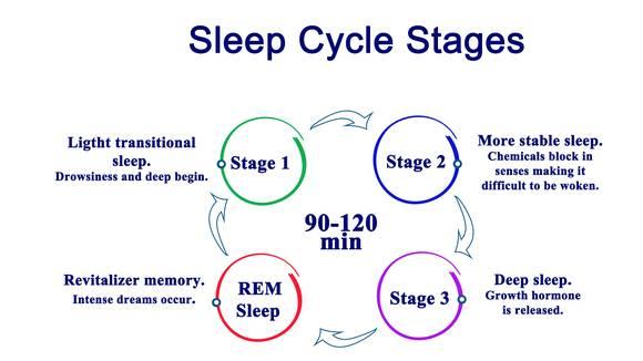  Noen deler av søvnsyklusen er vanskeligere å våkne opp fra. Kanskje det er lurt å ta hensyn til det? 