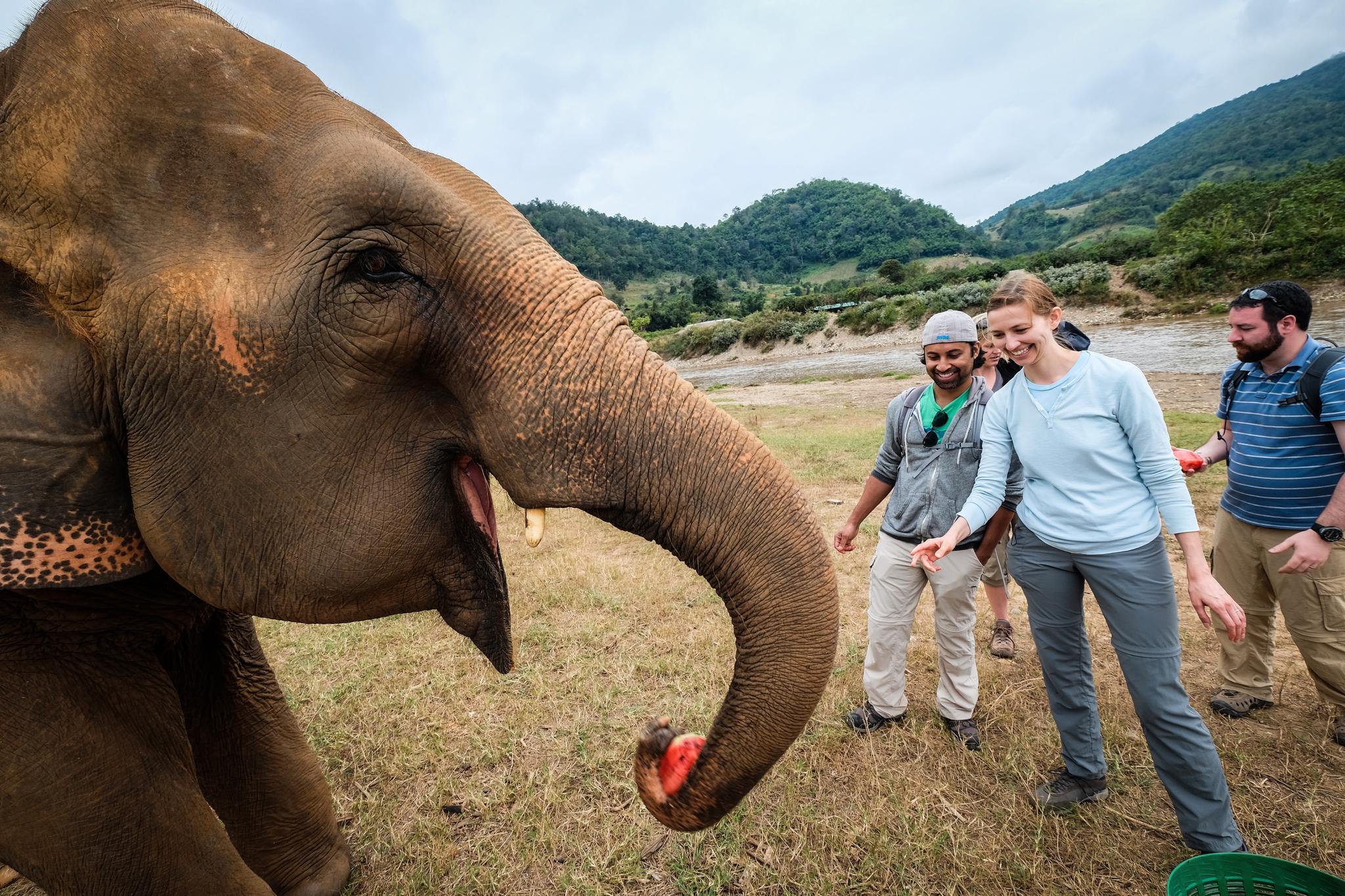 DRØM: Asif Rahman og kona Eva Zlotnika har lenge sett etter en etisk måte å oppleve elefanter.