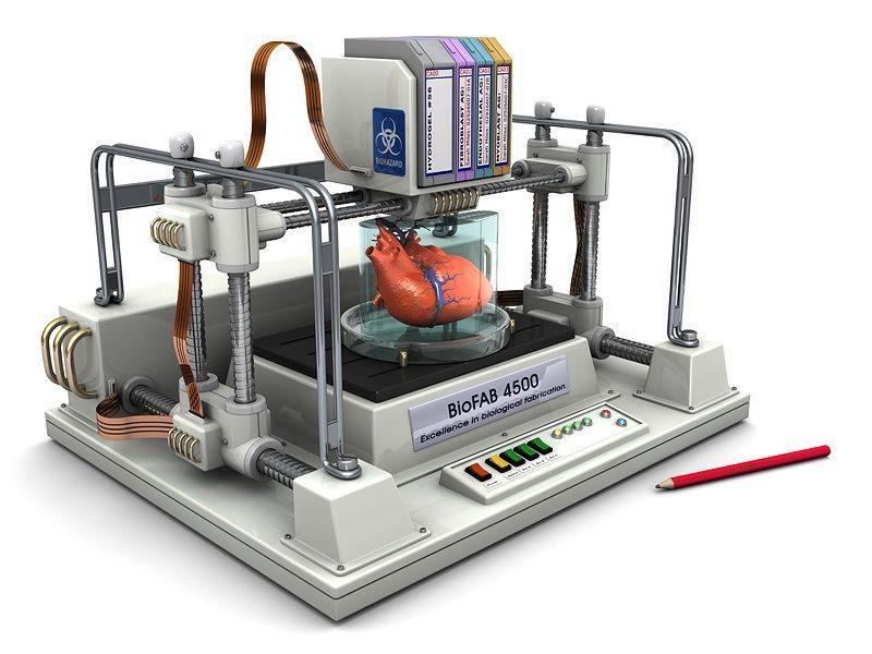 nuttet sorg indre Snart kan vi lage levende organer med 3-D-printer
