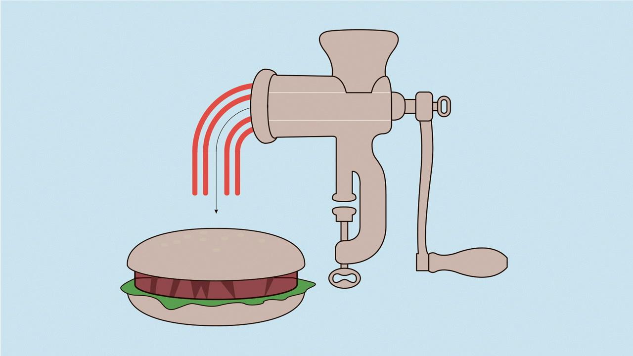 Muskelcellene bearbeides til kjøttdeig og kan serveres som for eksempel et hamburgermåltid.