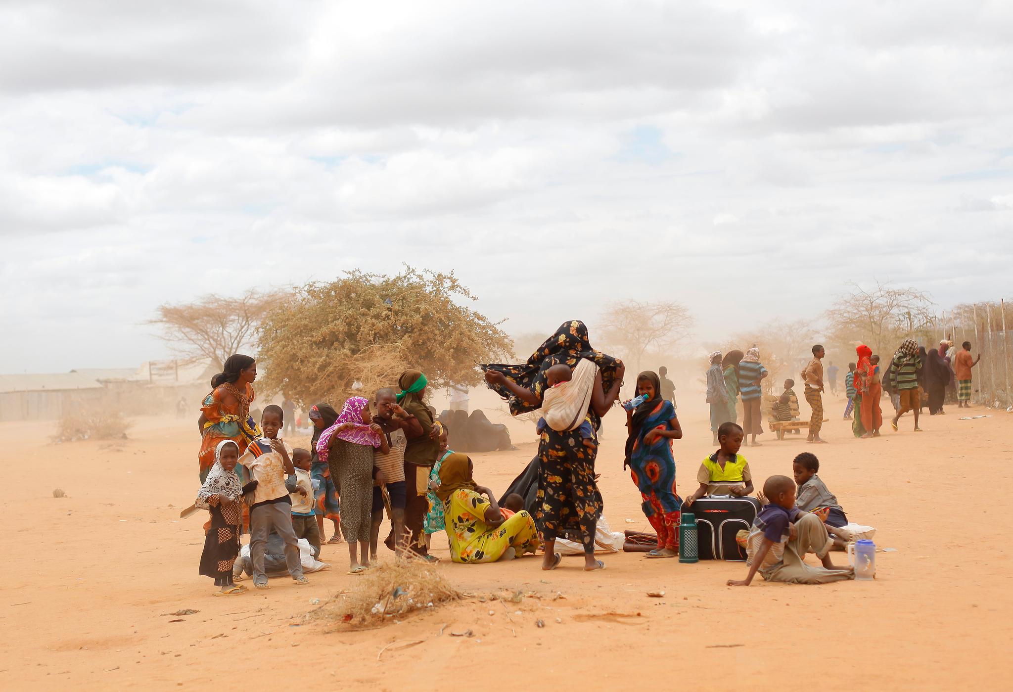 Langvarig tørke gjør at millioner av mennesker er i akutt fare i Øst-Afrika, mener FN og Røde Kors. Disse flyktningene kom fredag fra Somalia til en flyktningeleir ved Daadab i Kenya, som også er hardt rammet av tørke.