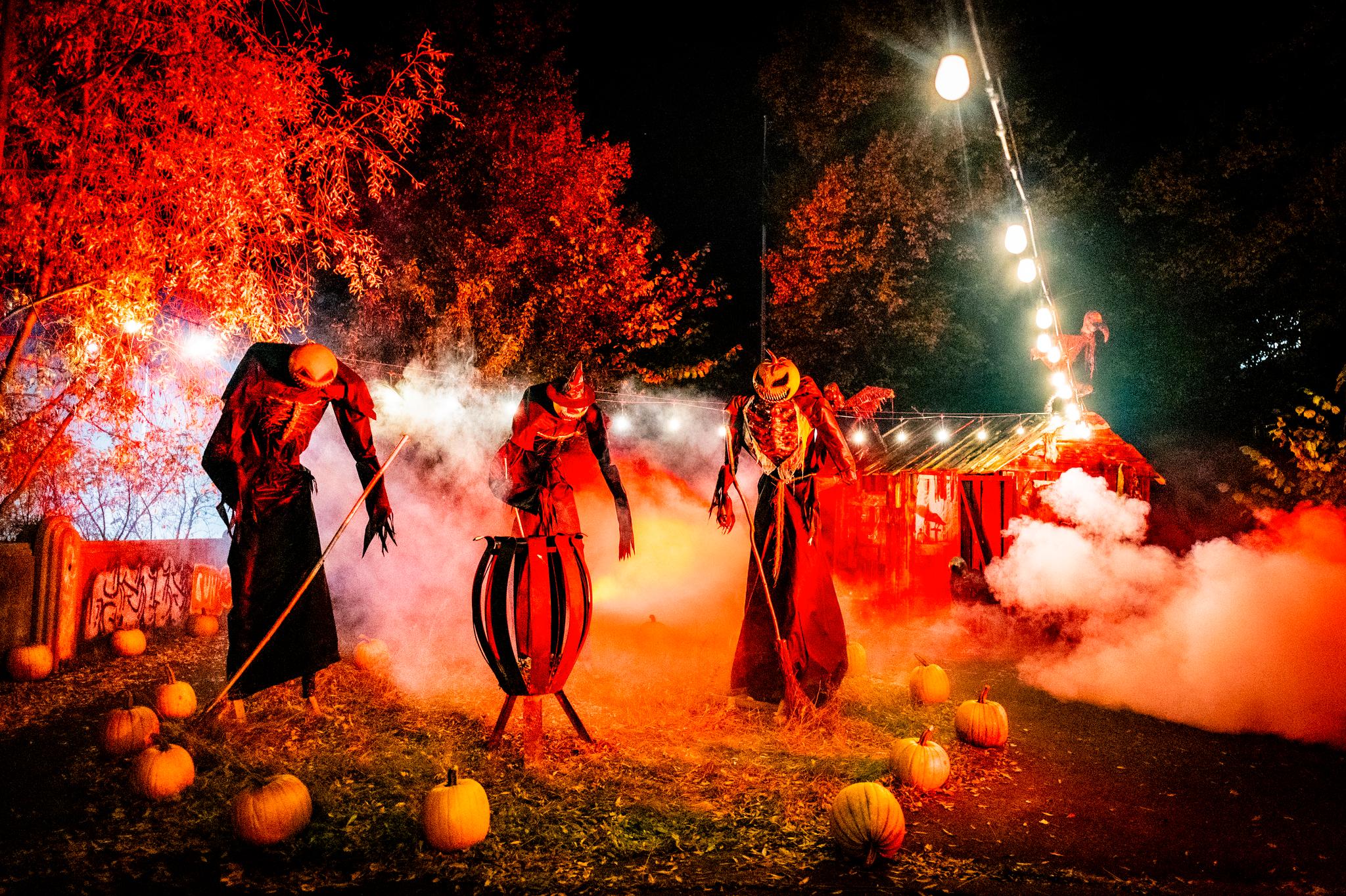 Er det greit å gi barna frukt i stedet for godteri på halloween? Eksperten svarer.