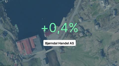 Bjørndal Handel AS: Langt fra jubelåret 2019, men solid margin