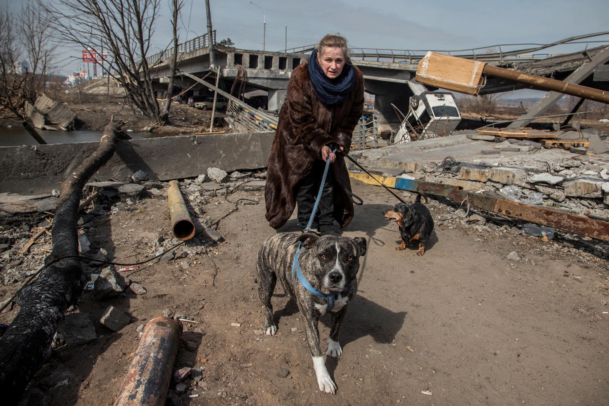En kvinne med en hund i bånd evakuerer Irpin mandag. Senere samme dag kom det meldinger om at ukrainske styrker har befridd byen.