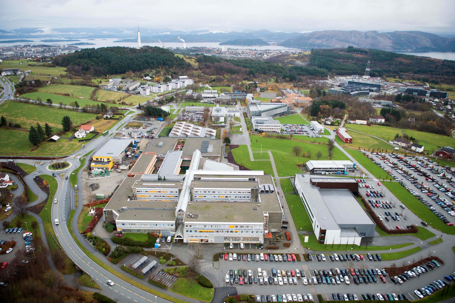 Grunnet det usikre jobbmarkedet er Universitet i Stavanger spente på søkertallene fra Samordna opptak i år.