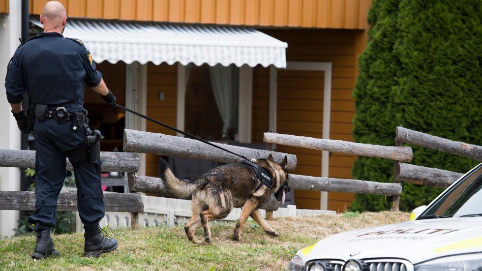  En av politiets hundepatruljer lette etter våpen og andre spor etter skytingen på Bjørndal.  