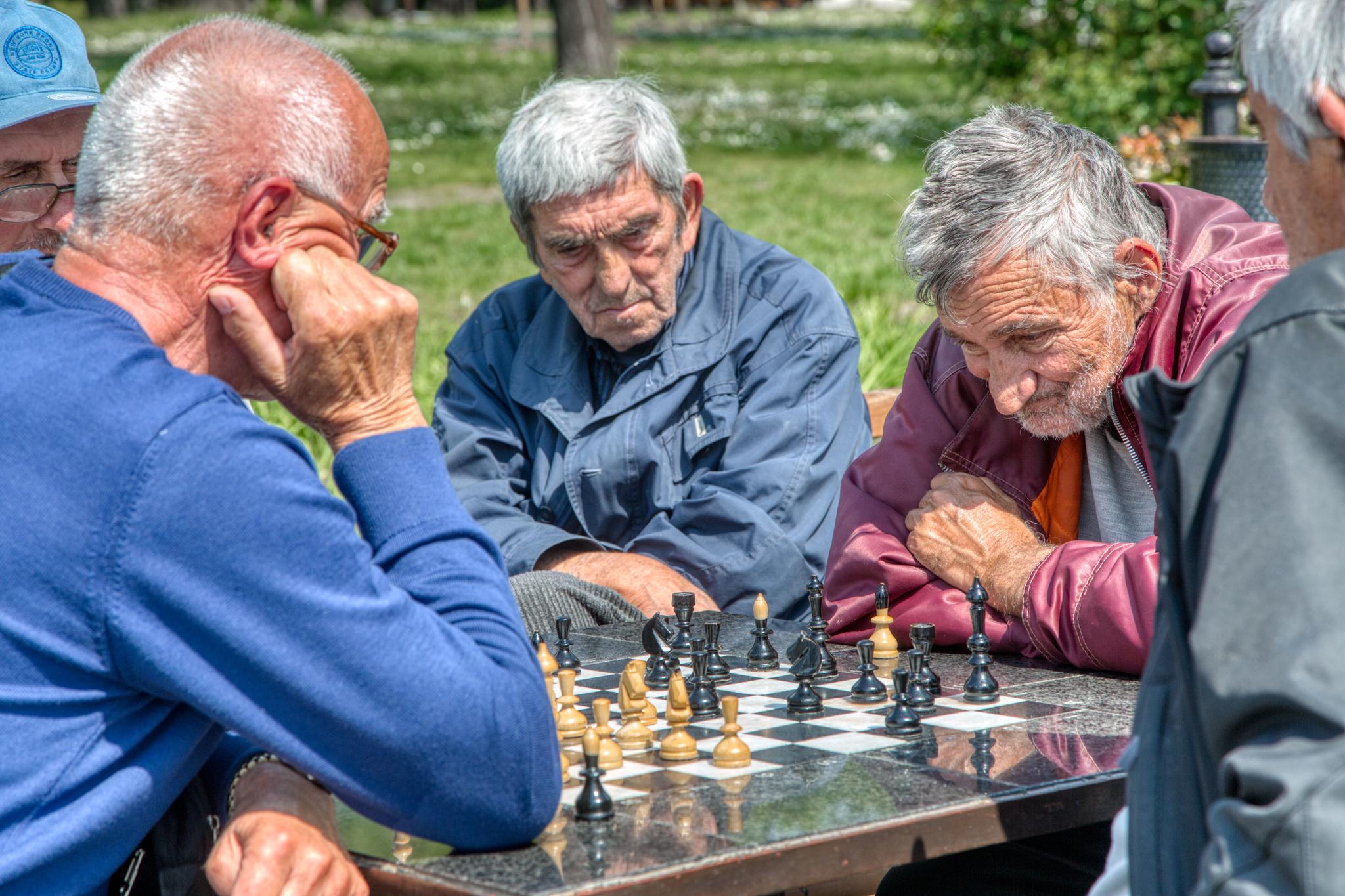 Festningen er et populært samlingspunkt i Beograd, også for godt voksne sjakkspillere.